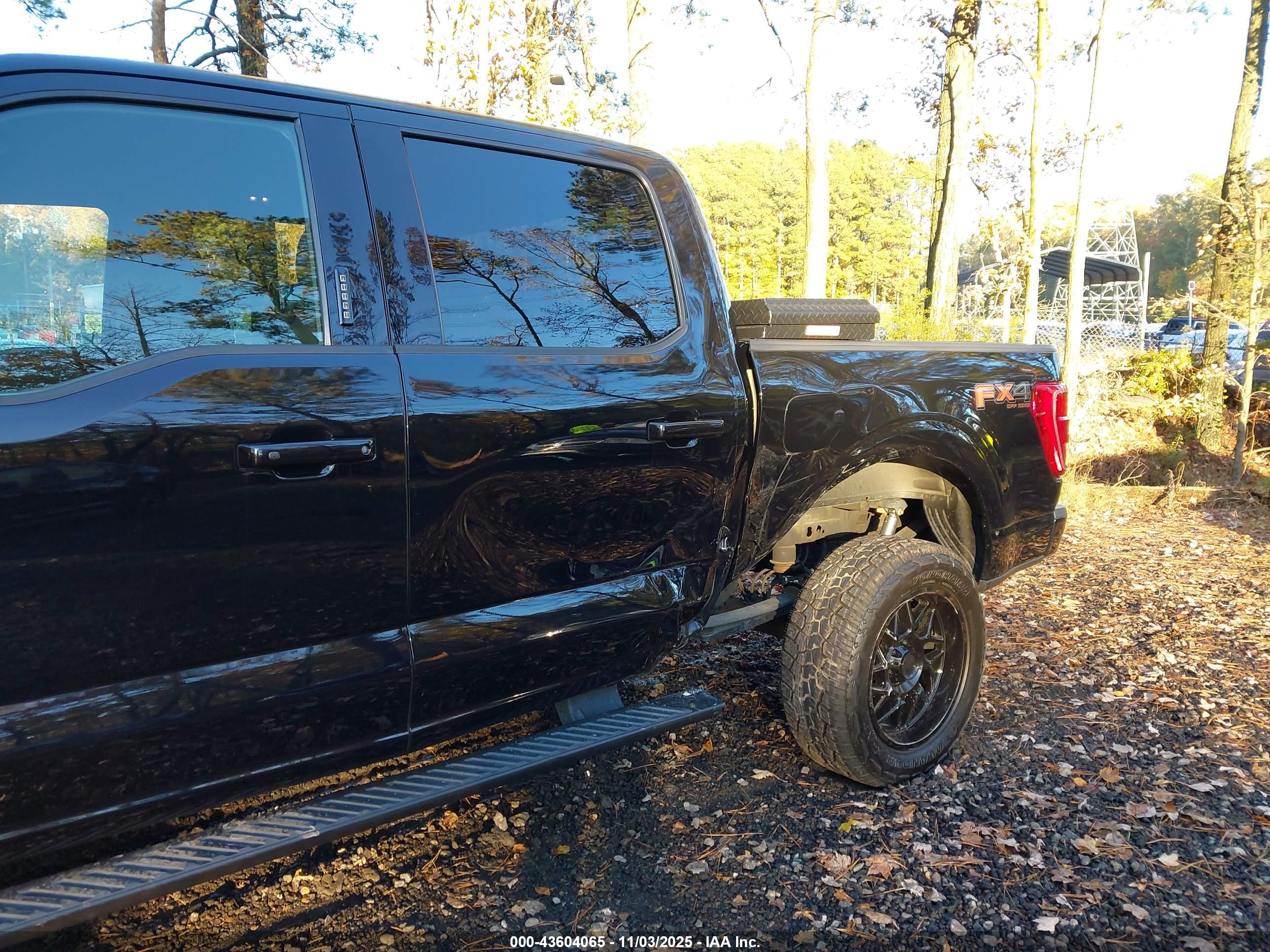 FORD F-150 image 6