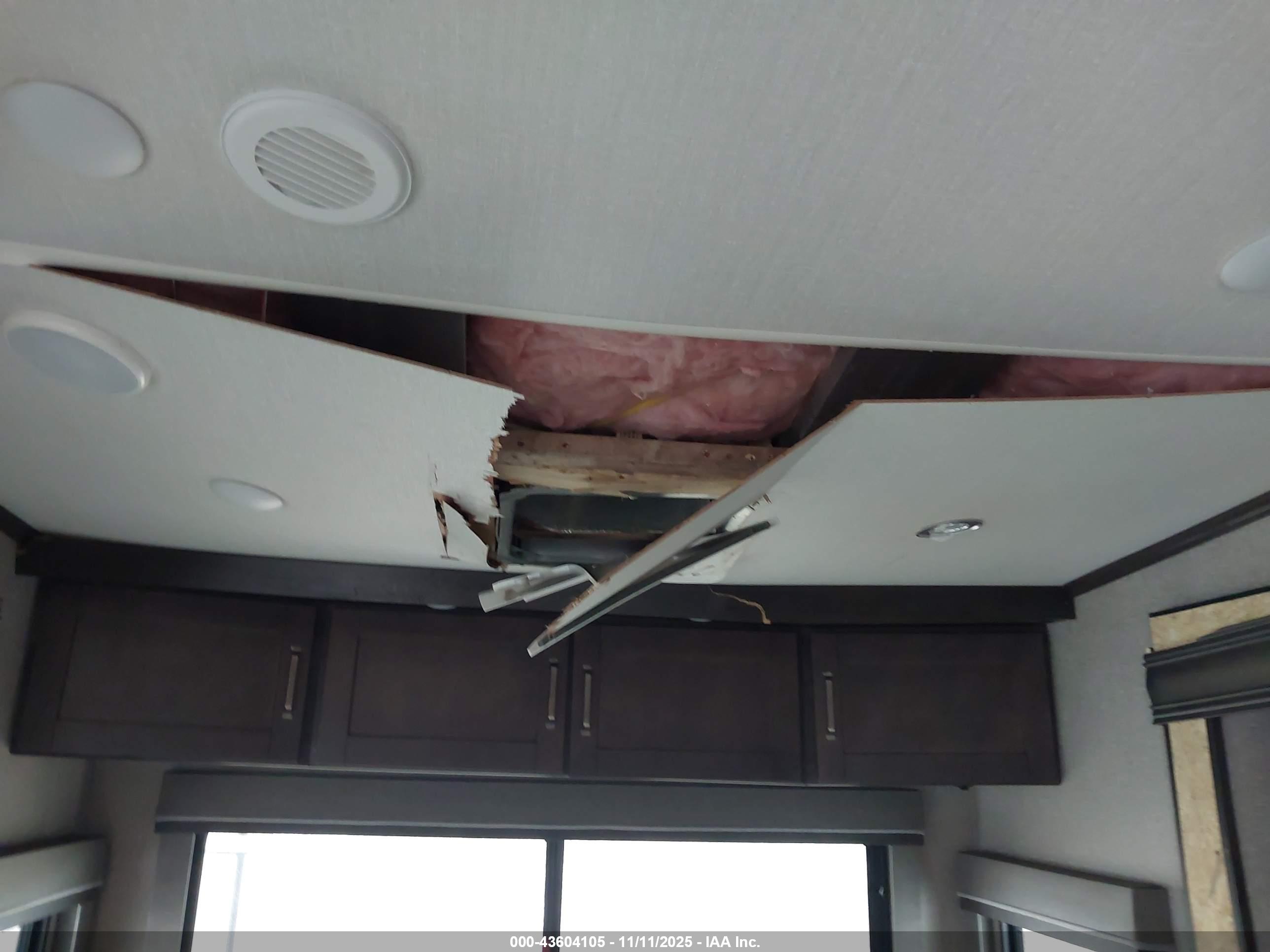 GRAND DESIGN image 6