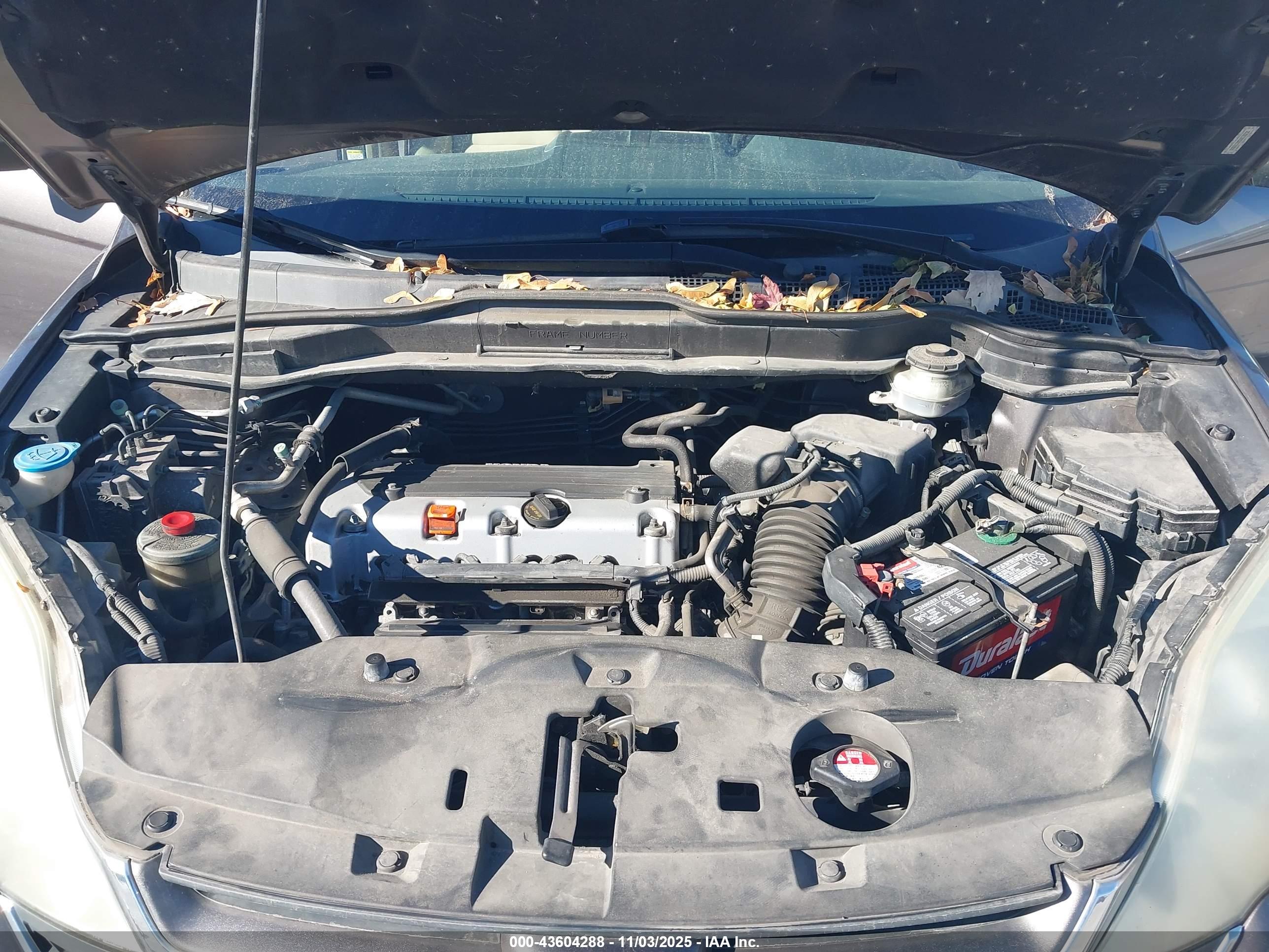 HONDA CR-V image 10