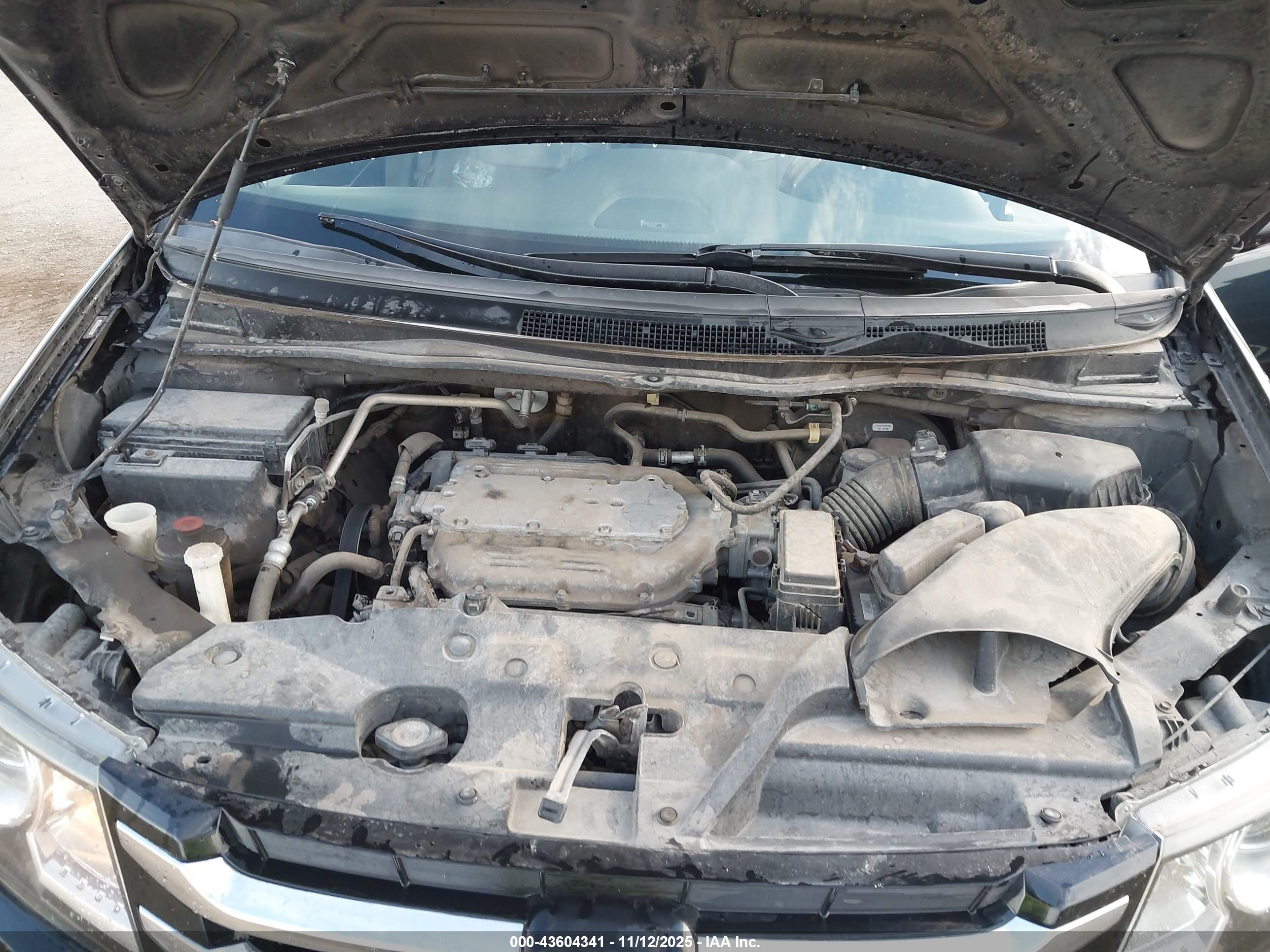 HONDA ODYSSEY image 10
