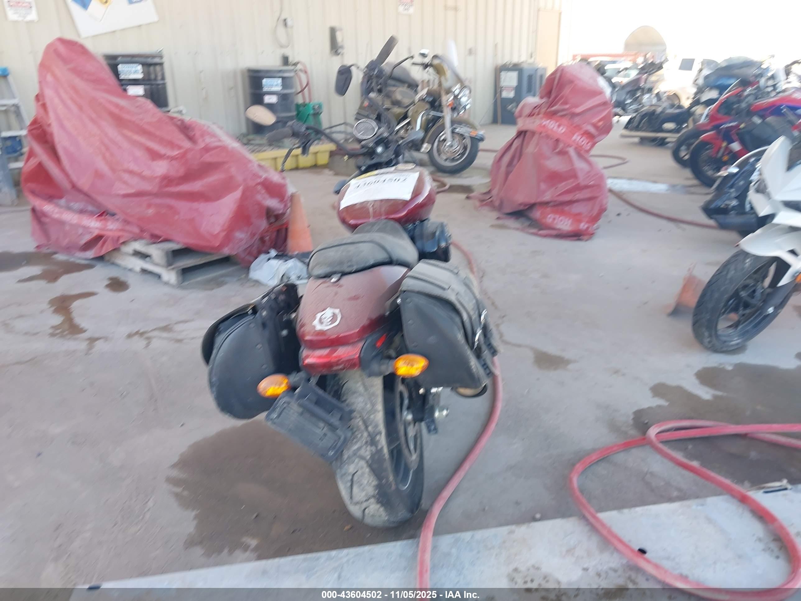 HARLEY-DAVIDSON XG750 image 6