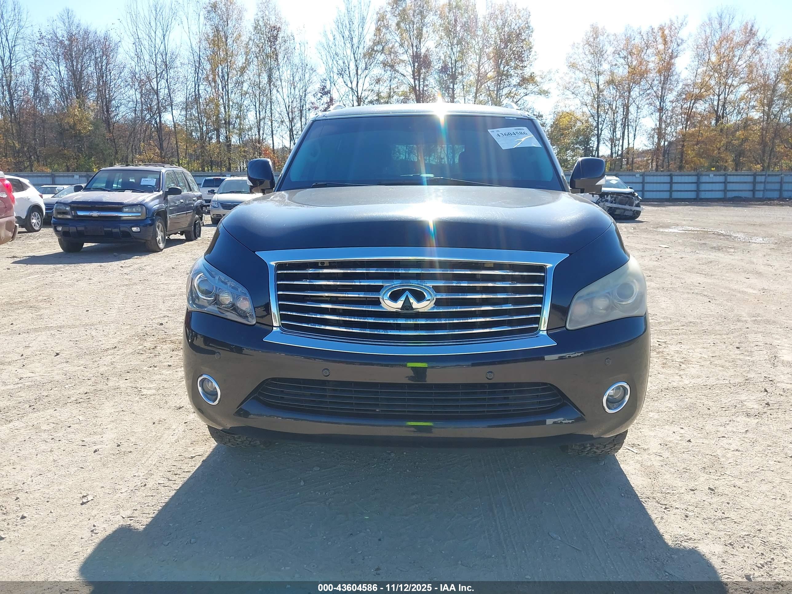 INFINITI QX80 image 6