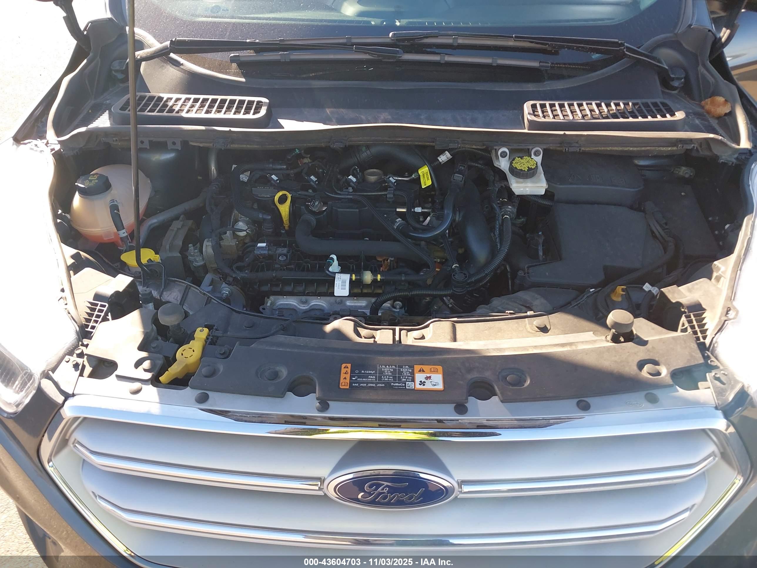 FORD ESCAPE image 10
