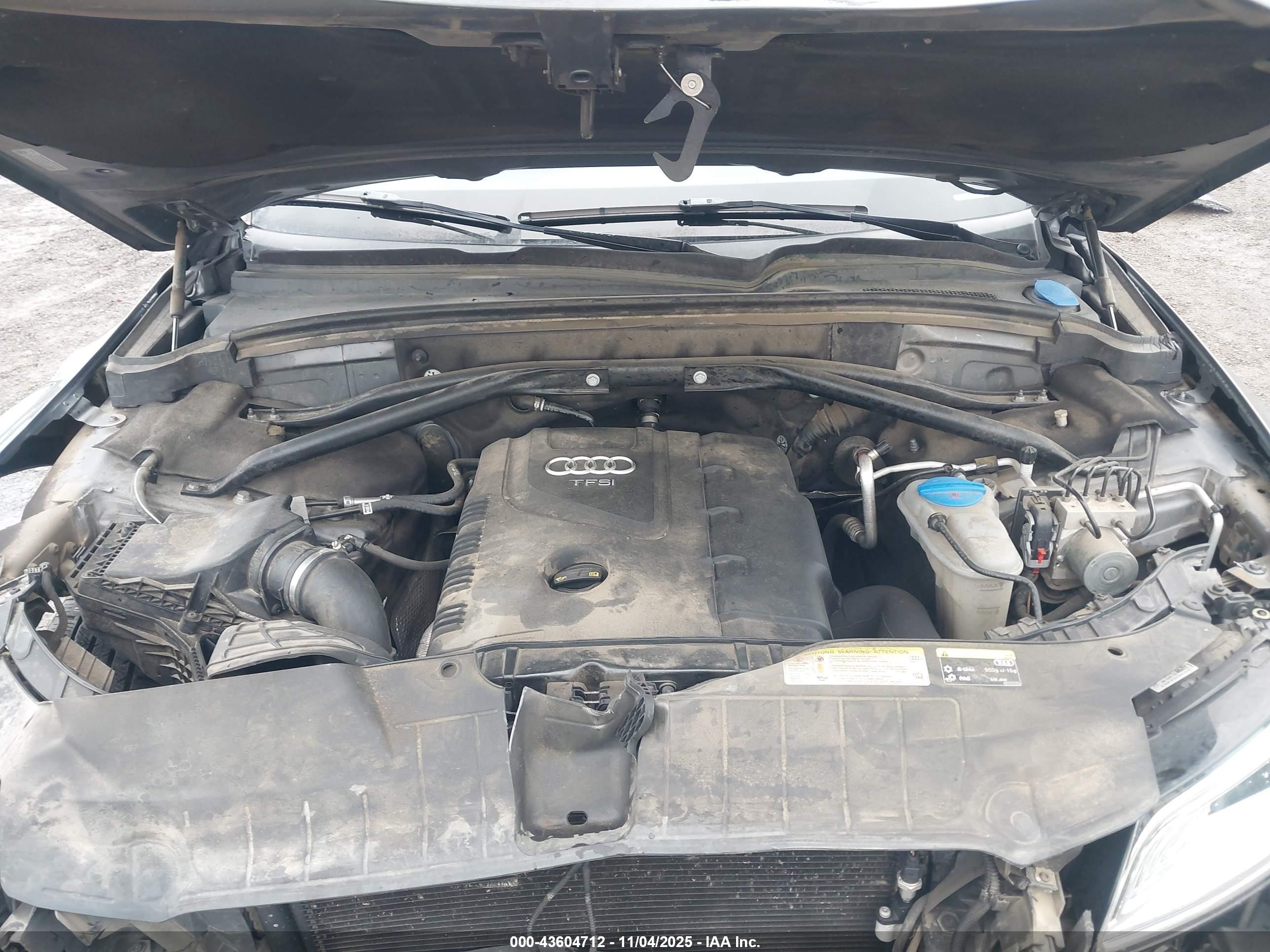 AUDI Q5 image 10