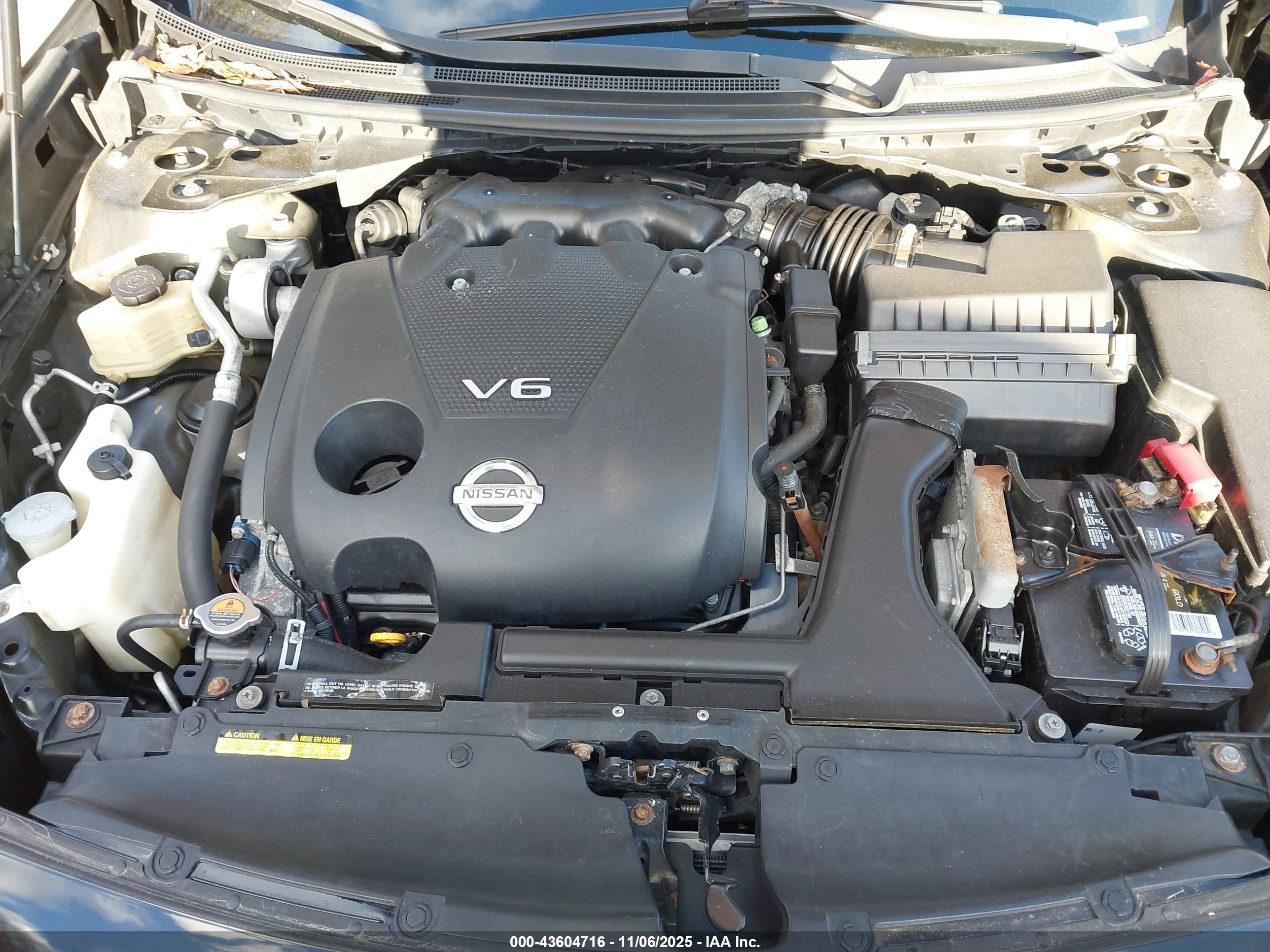 NISSAN MAXIMA image 10