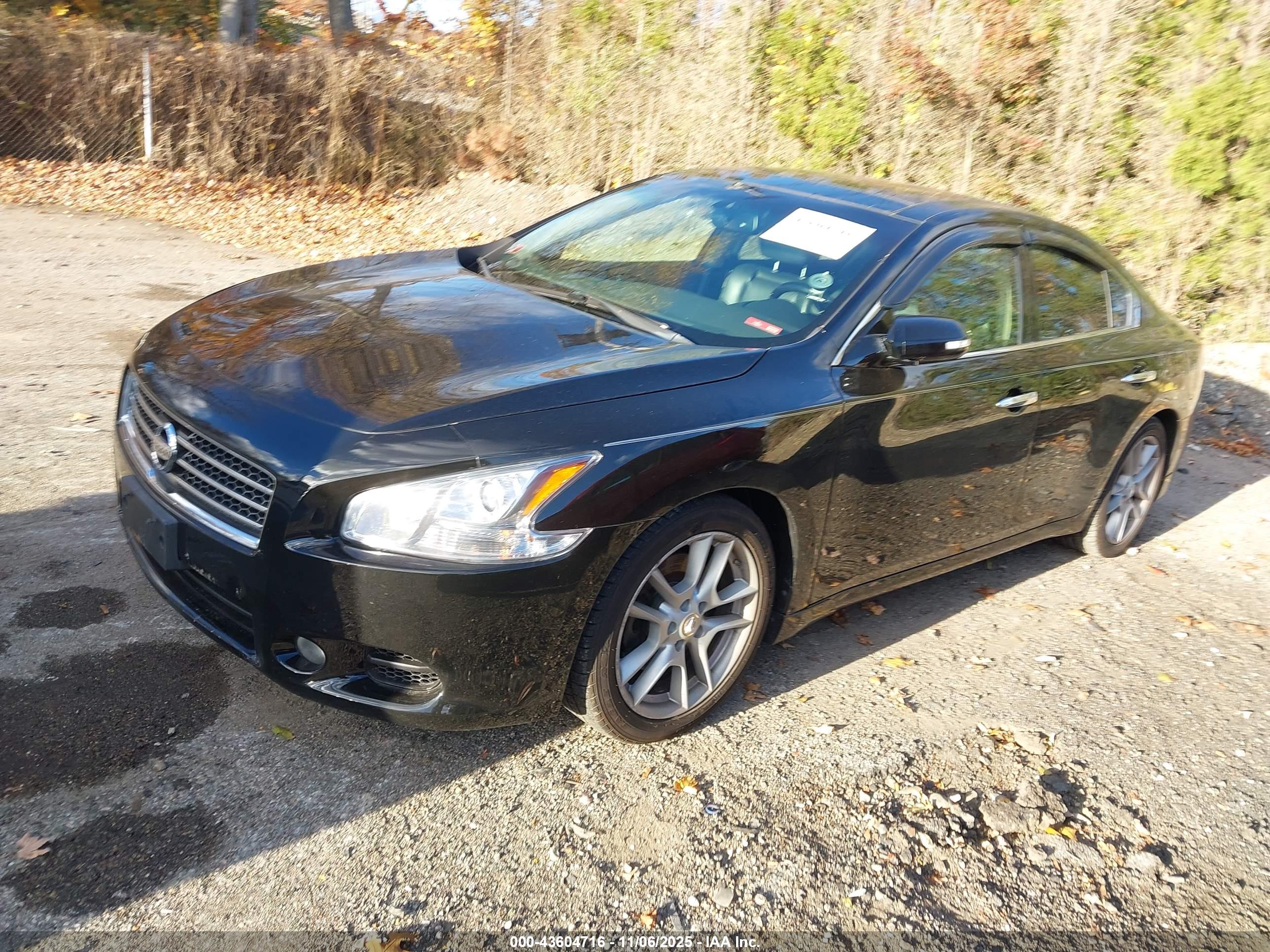 NISSAN MAXIMA image 2