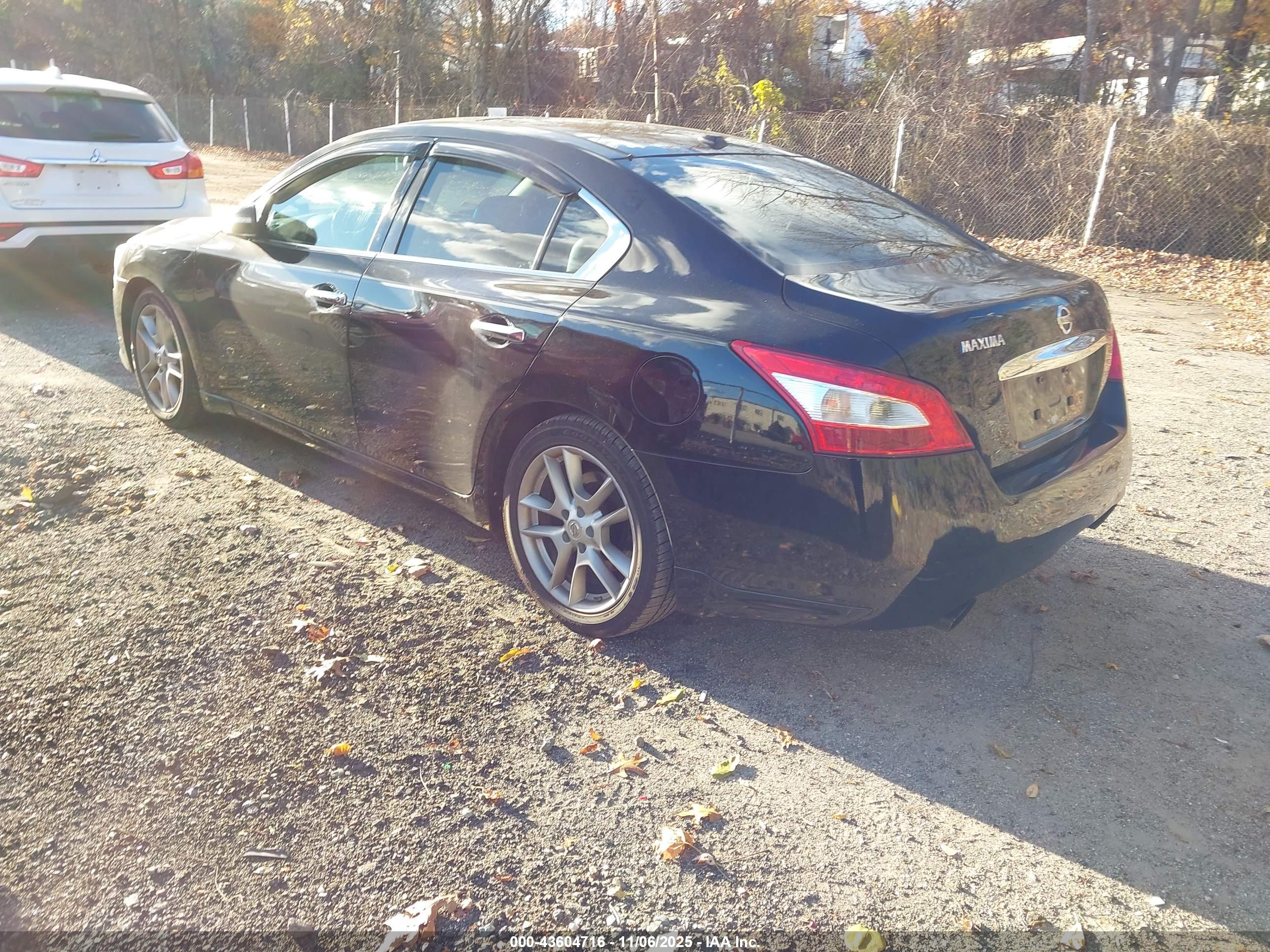 NISSAN MAXIMA image 3