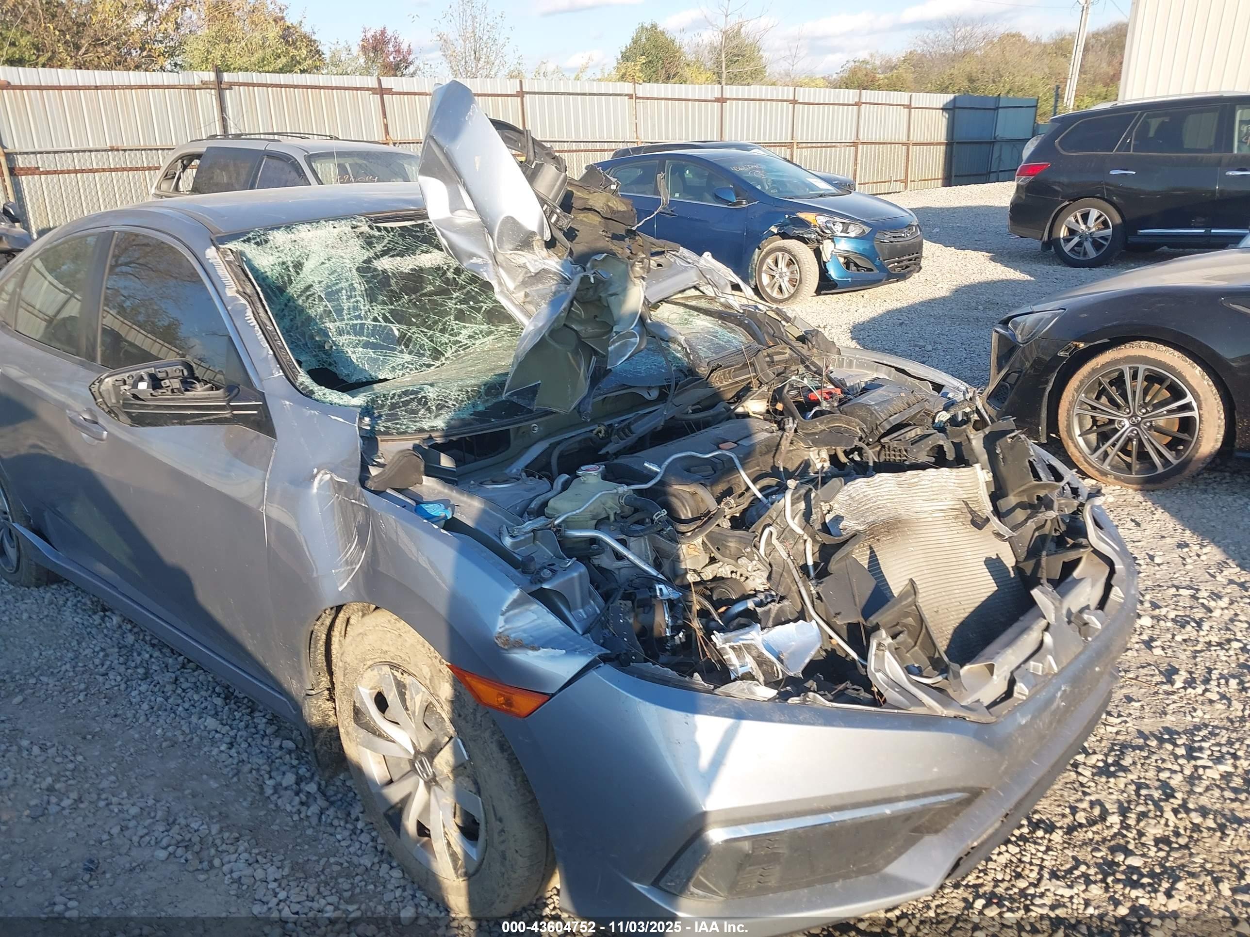 HONDA CIVIC image 6