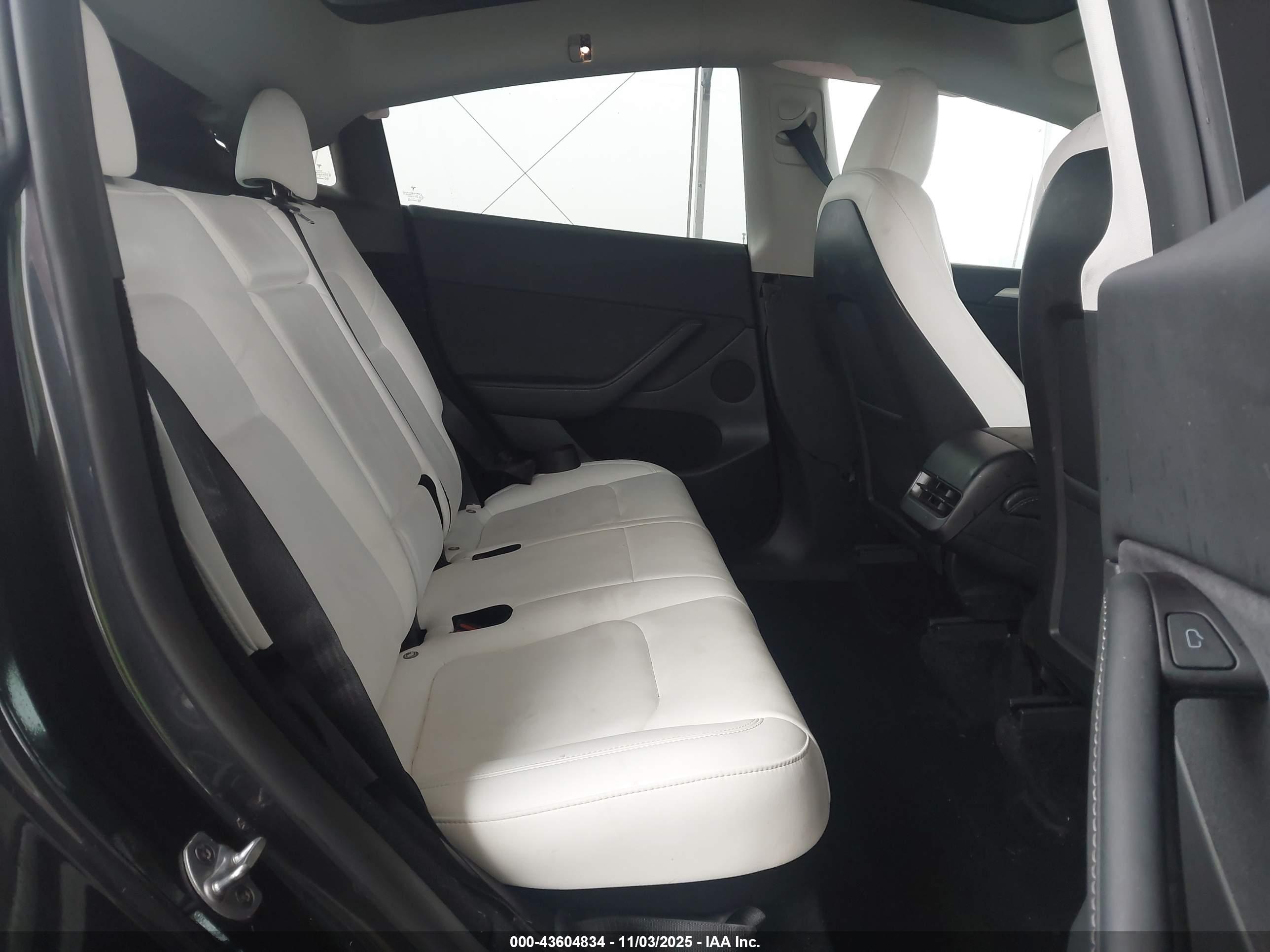 TESLA MODEL image 8