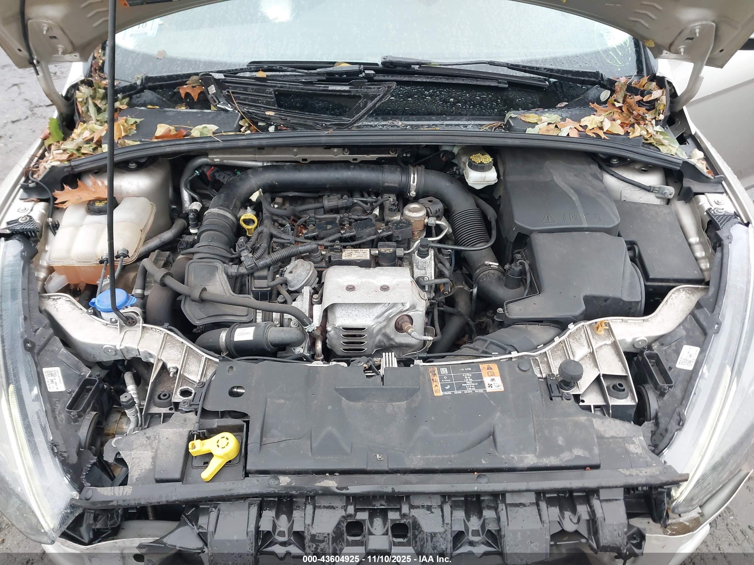 FORD FOCUS image 10