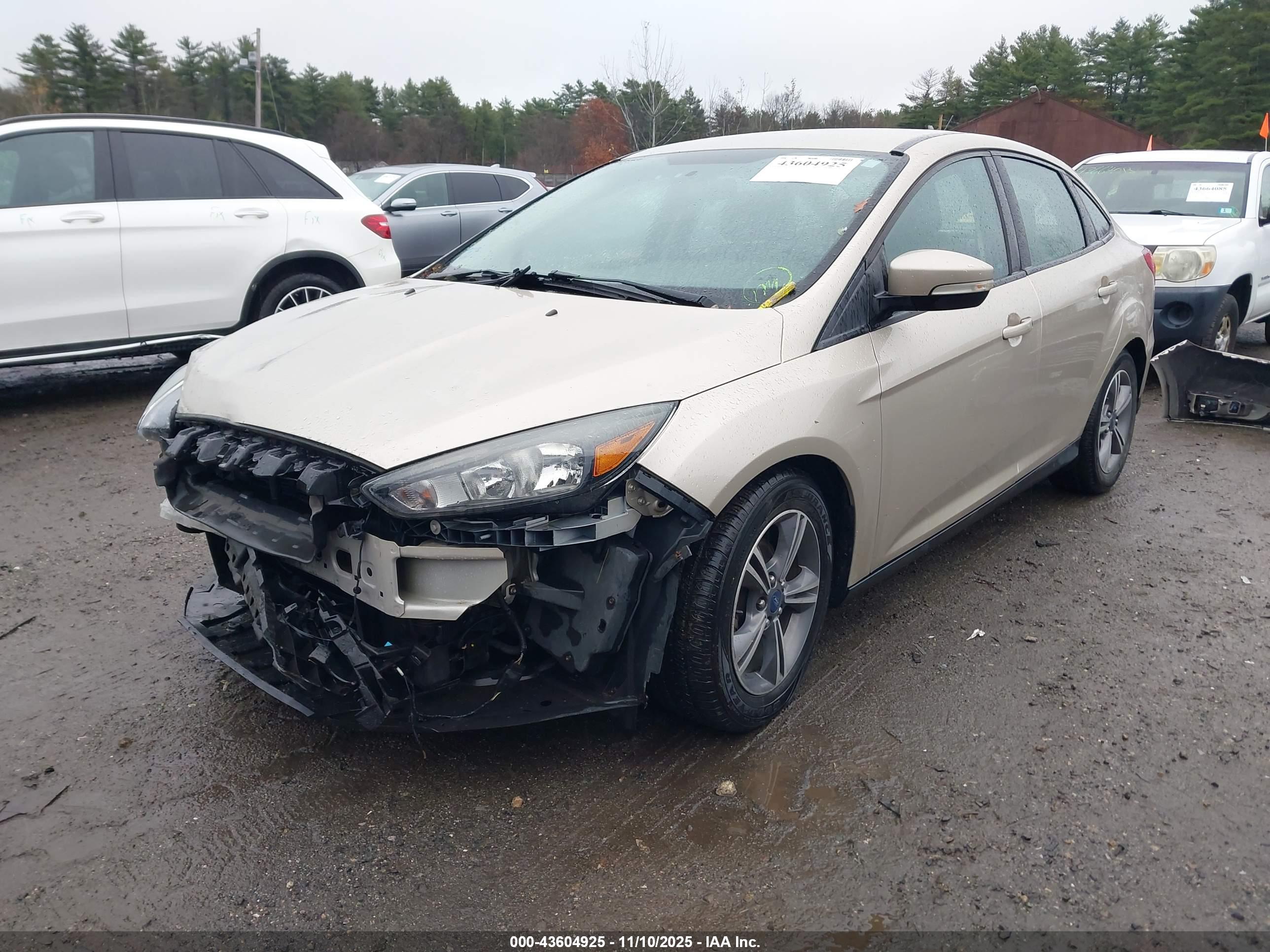 FORD FOCUS image 2