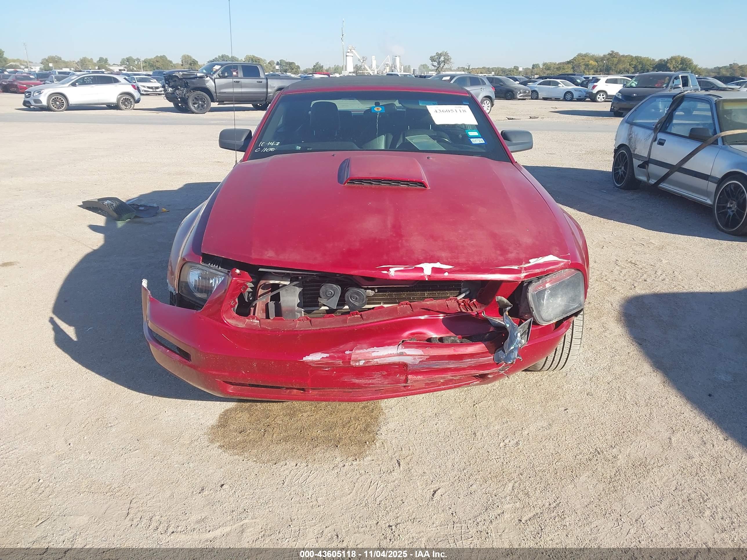 FORD MUSTANG image 6