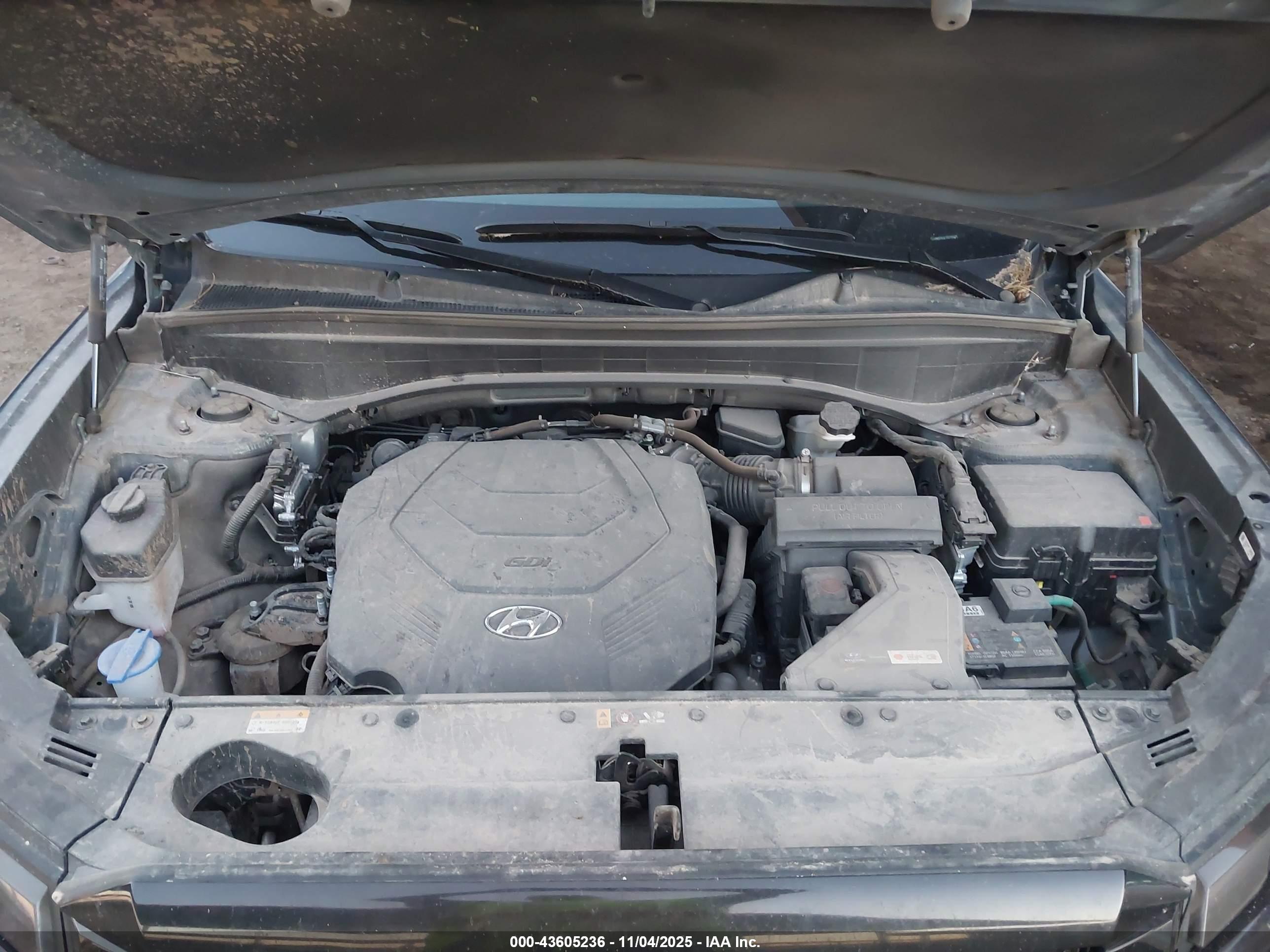 HYUNDAI PALISADE image 10
