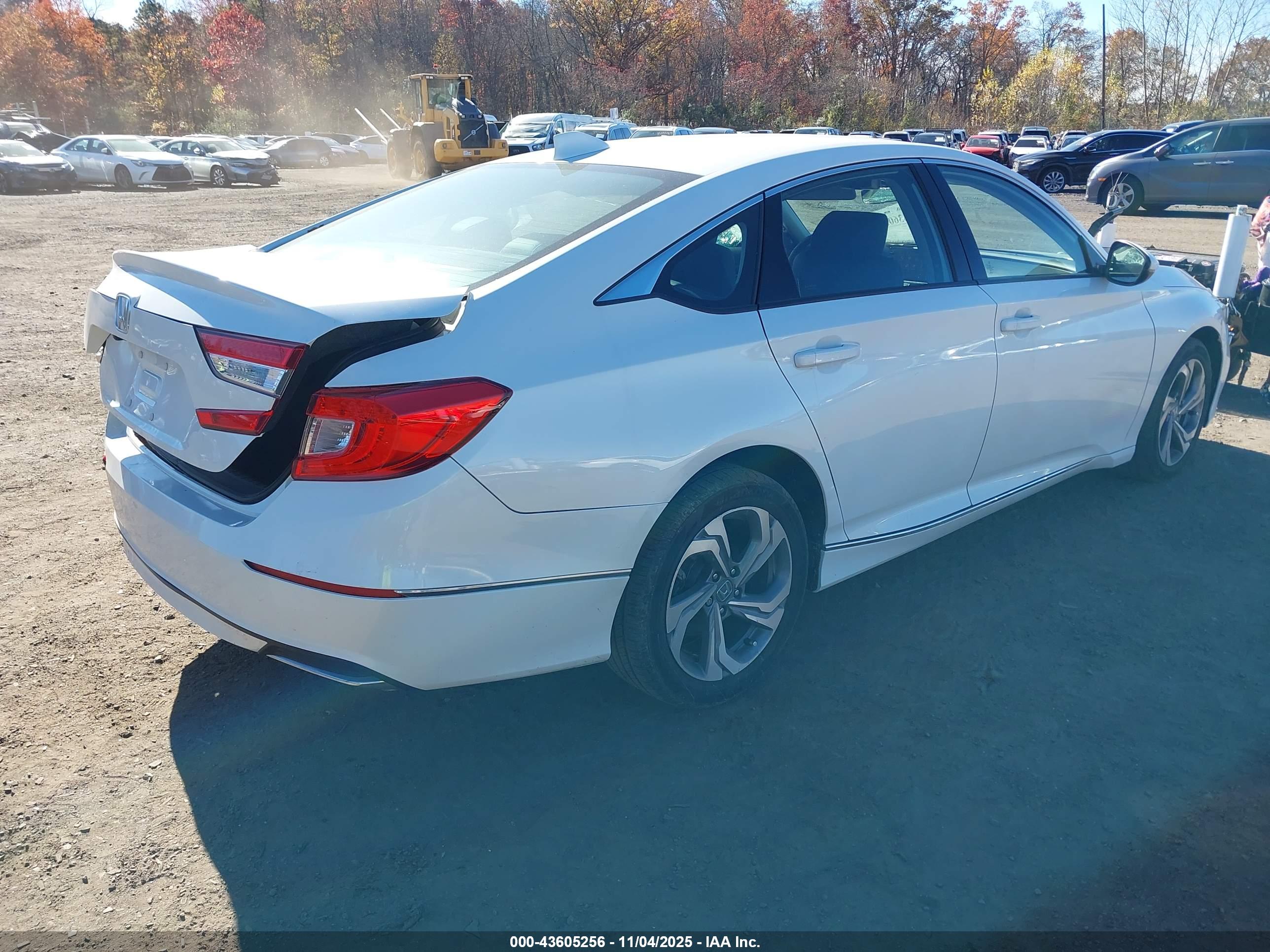 HONDA ACCORD image 4