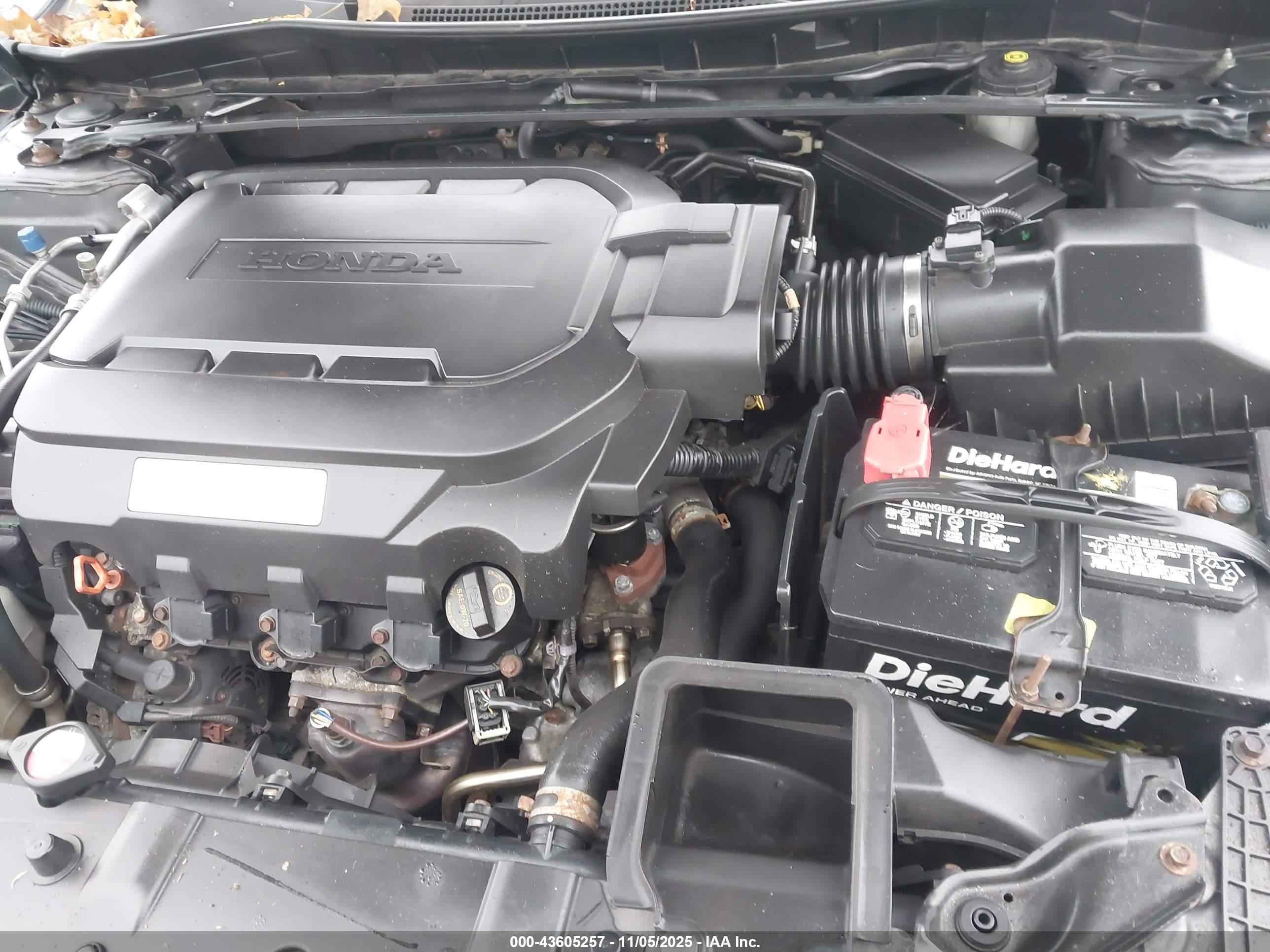 HONDA ACCORD image 10