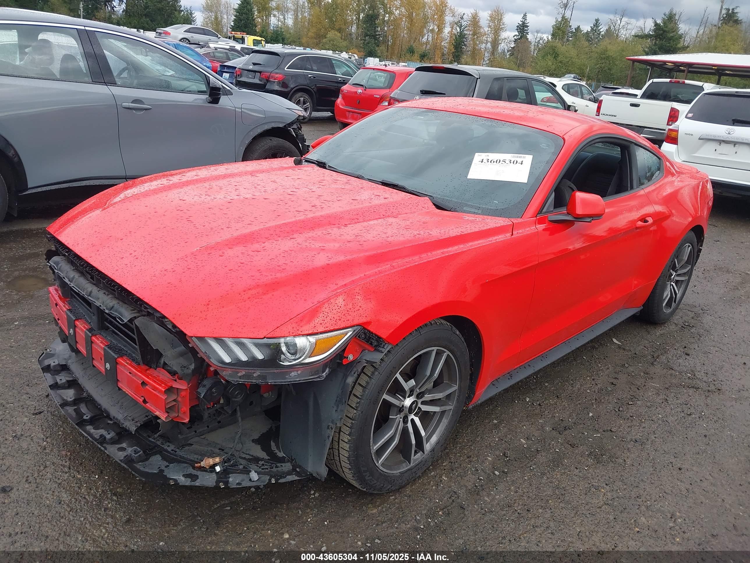 FORD MUSTANG image 2