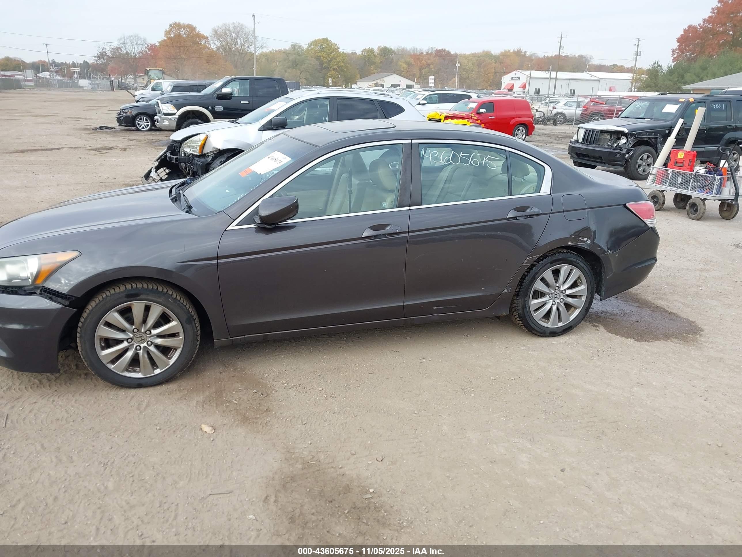 HONDA ACCORD image 6