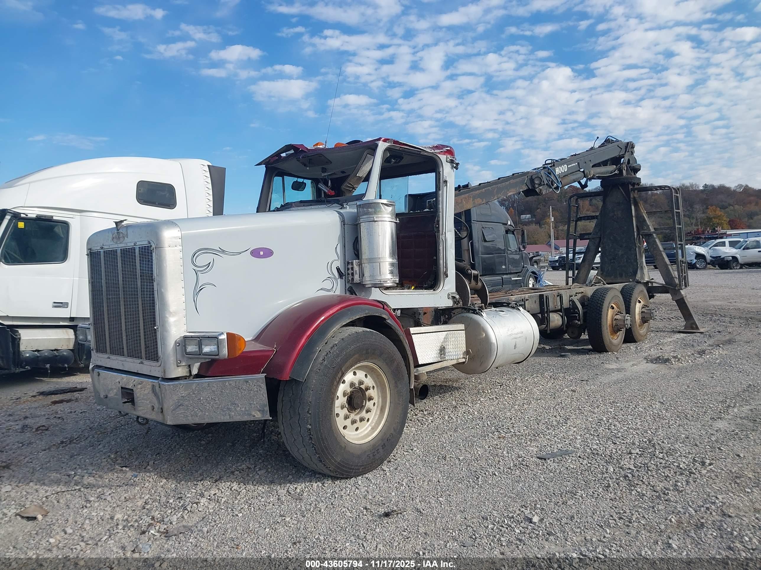 PETERBILT 378 image 2