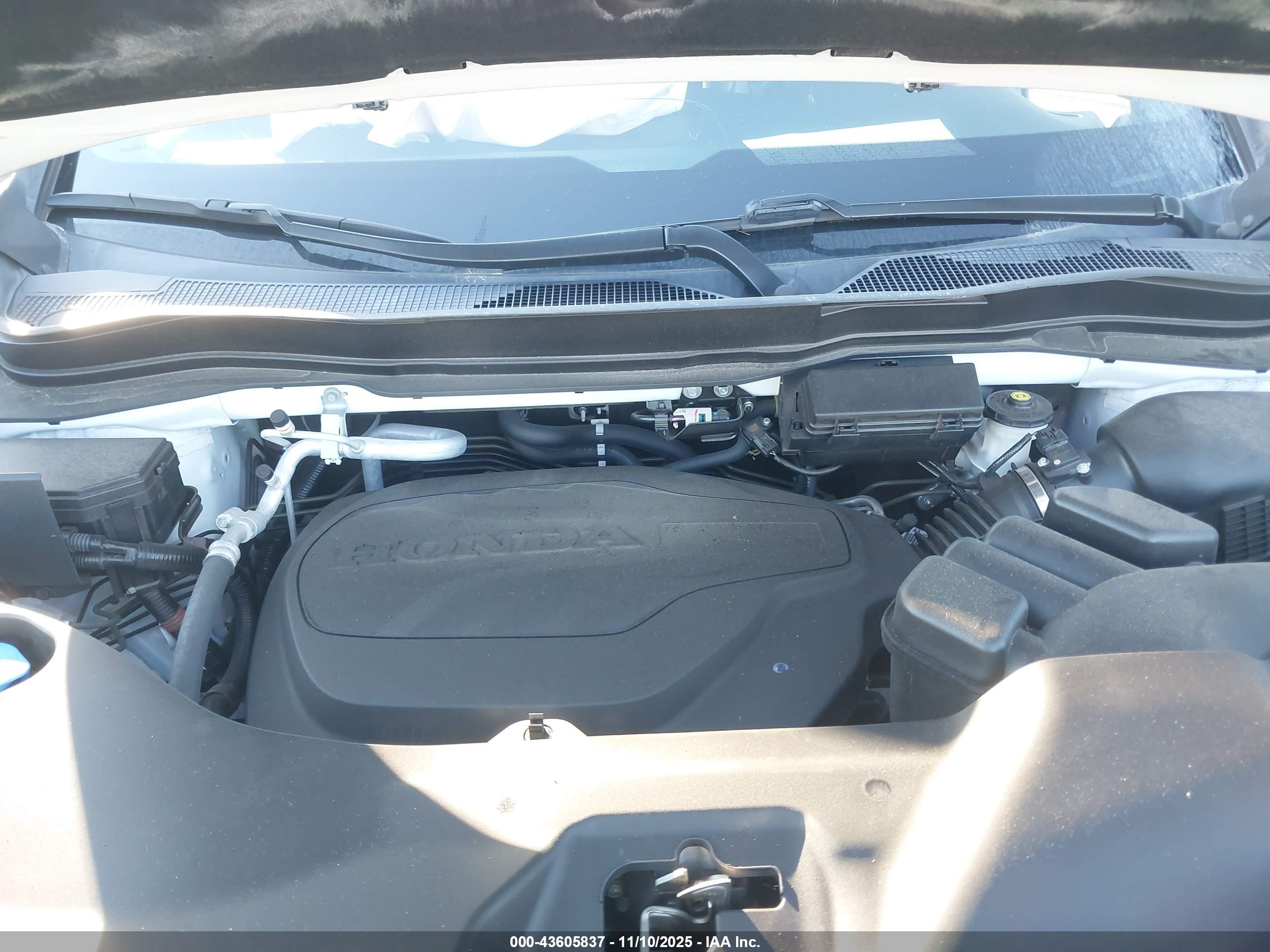 HONDA PASSPORT image 10