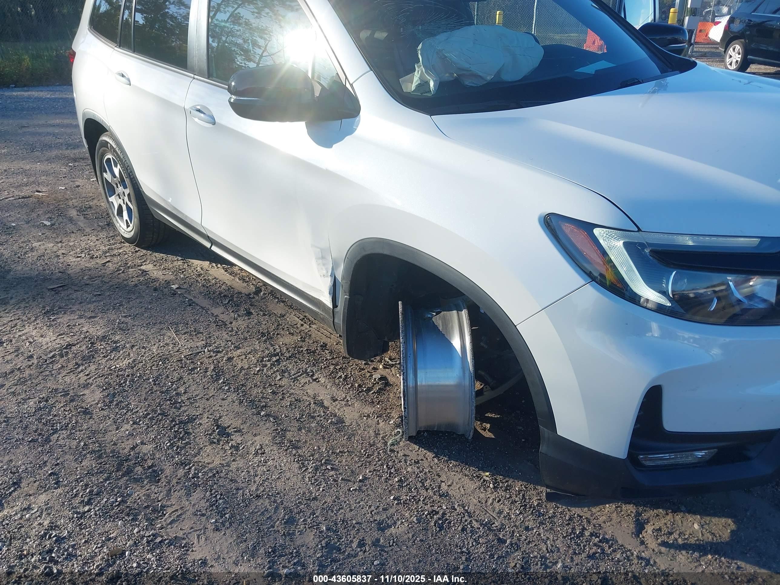 HONDA PASSPORT image 6