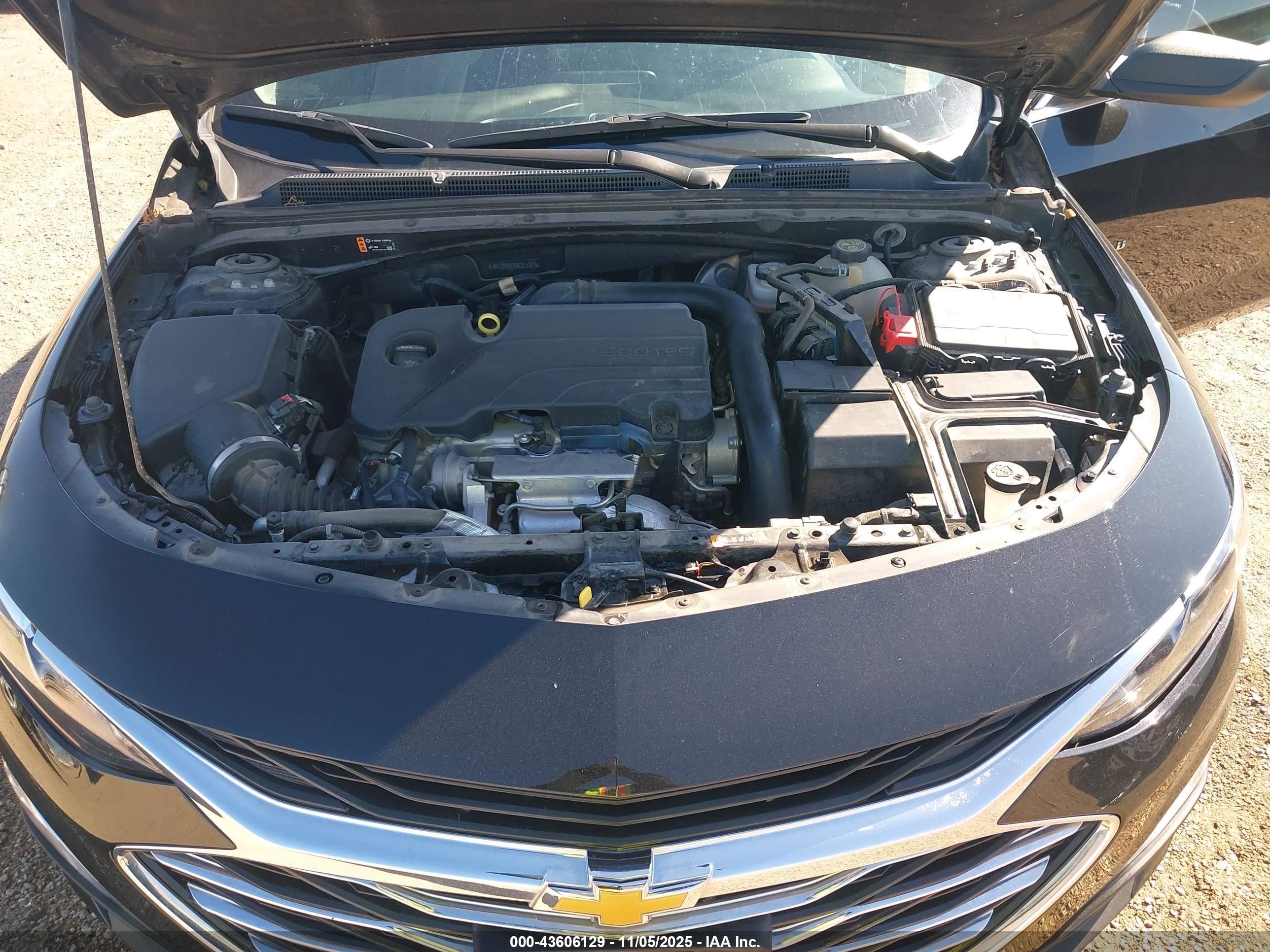 CHEVROLET MALIBU image 10
