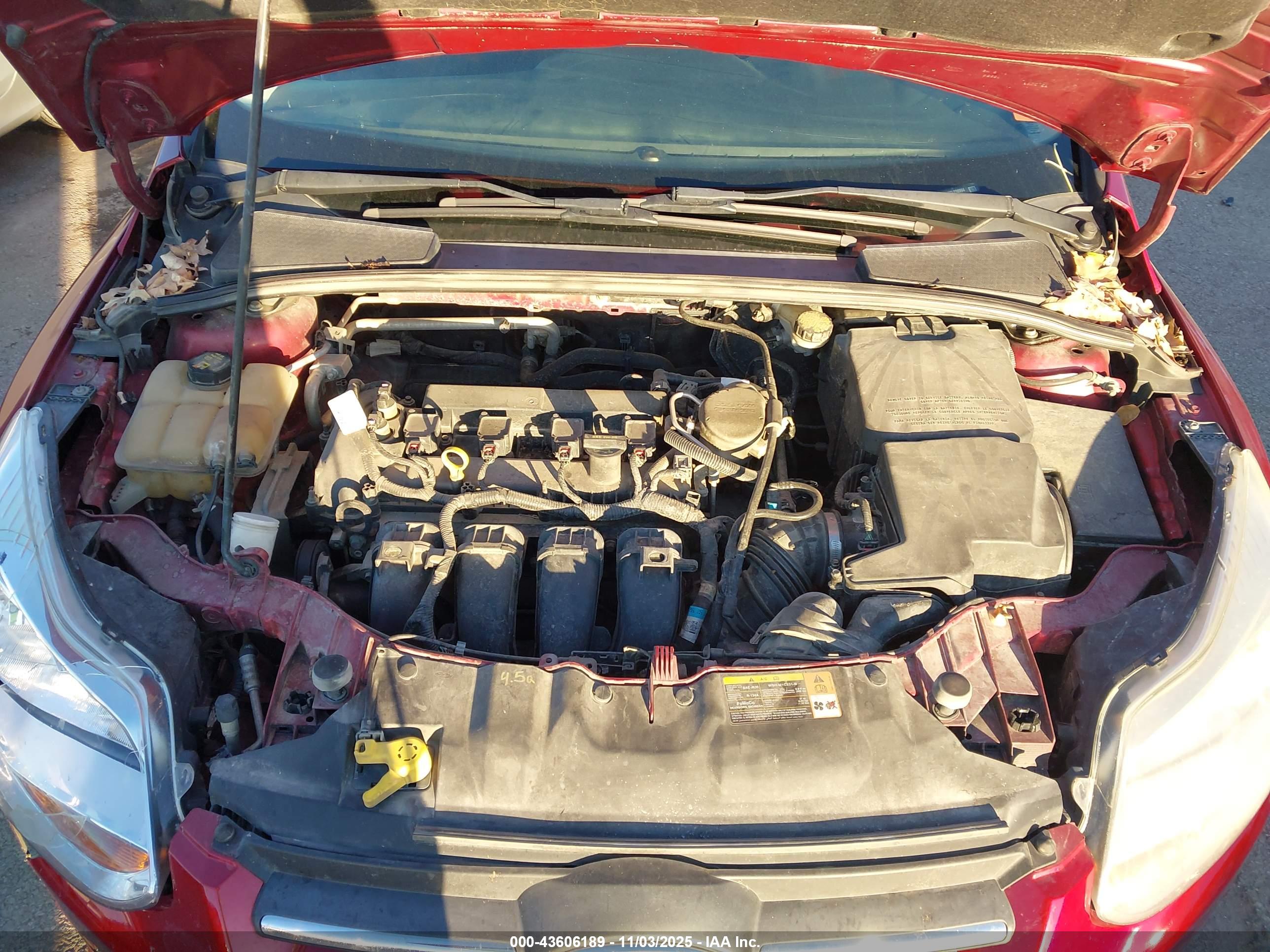 FORD FOCUS image 10