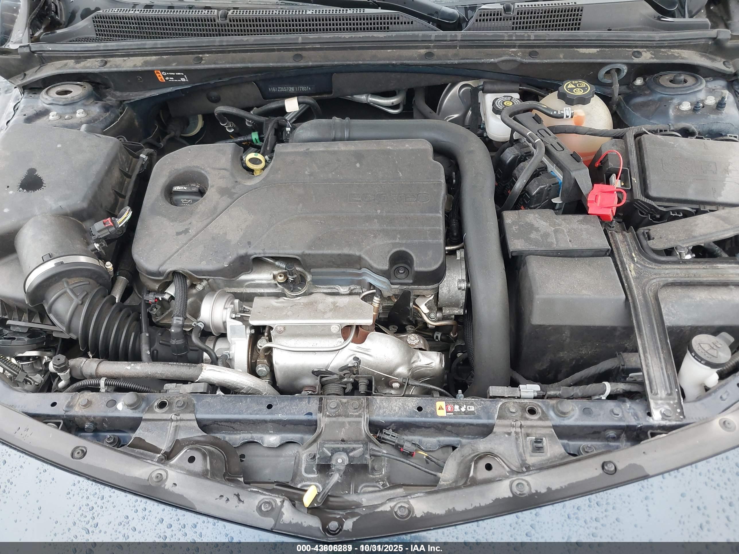 CHEVROLET MALIBU image 10