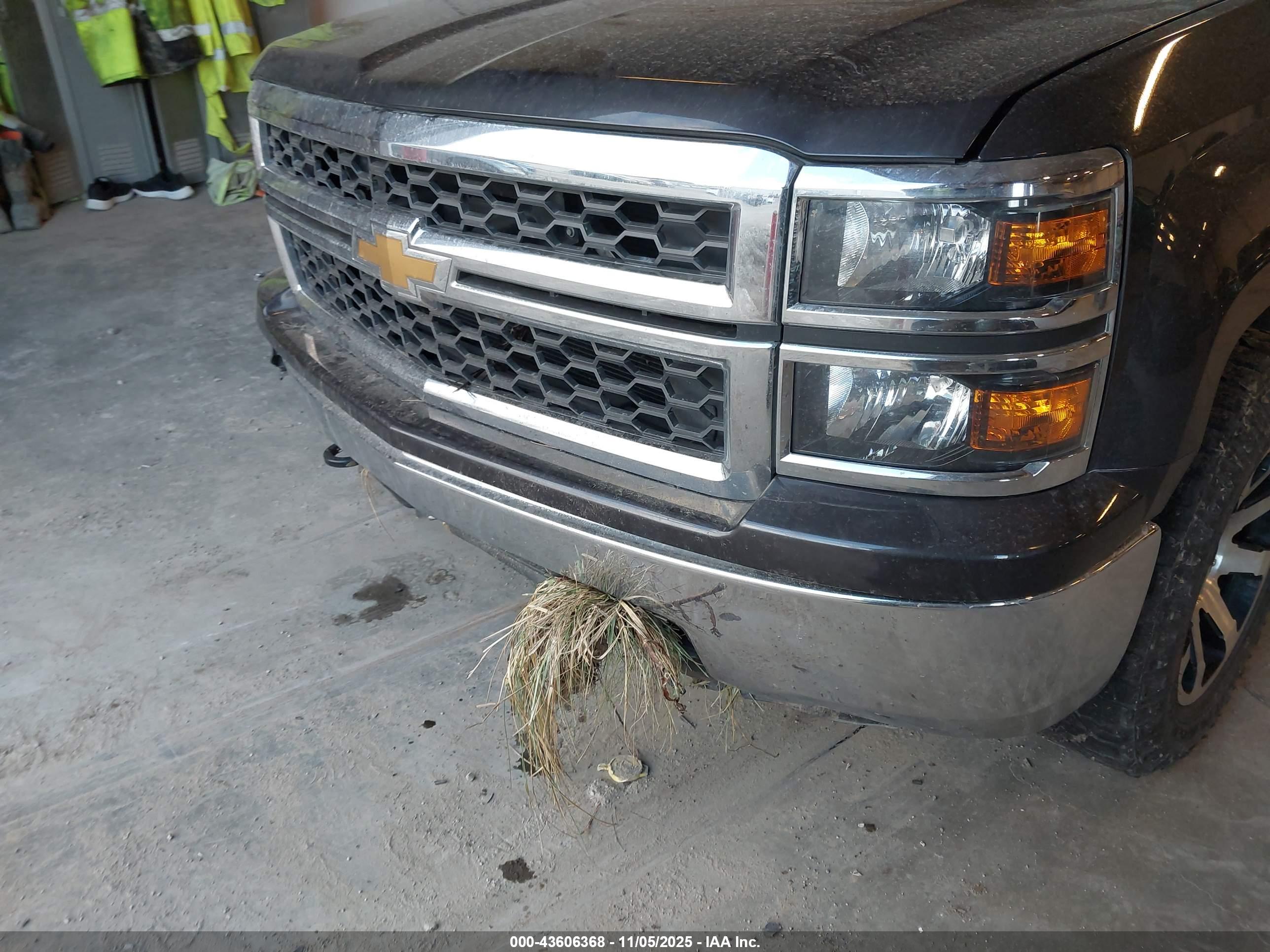 CHEVROLET SILVERADO image 6