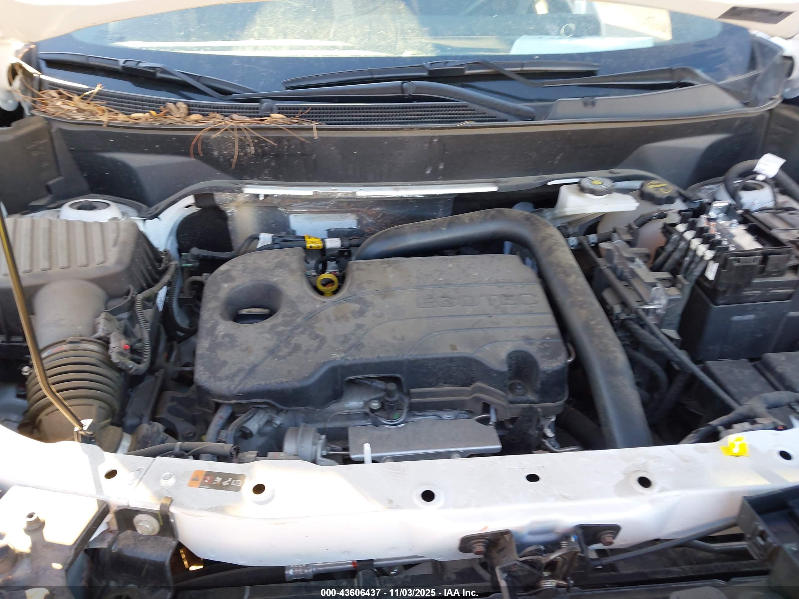 CHEVROLET EQUINOX image 10