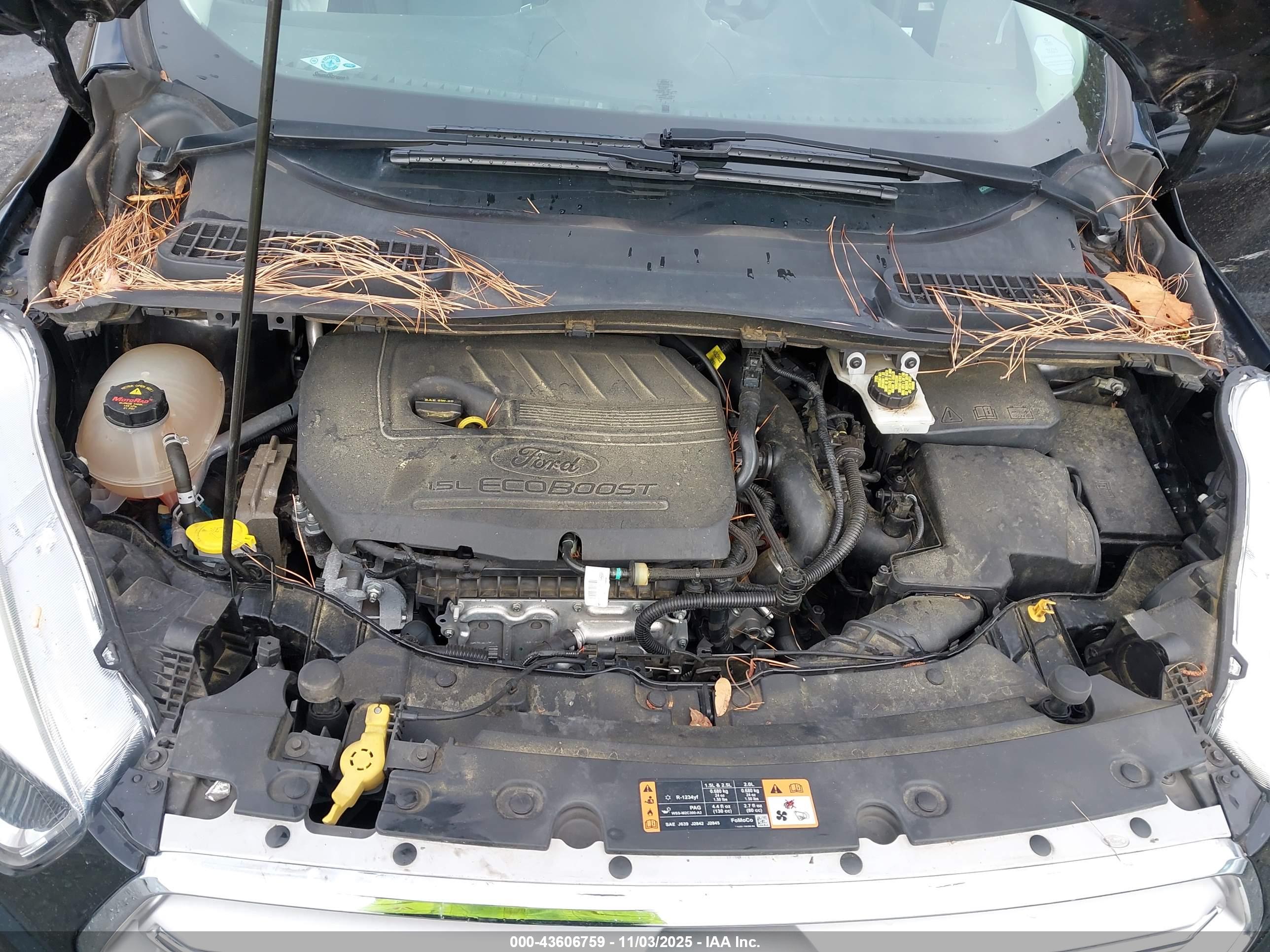 FORD ESCAPE image 10