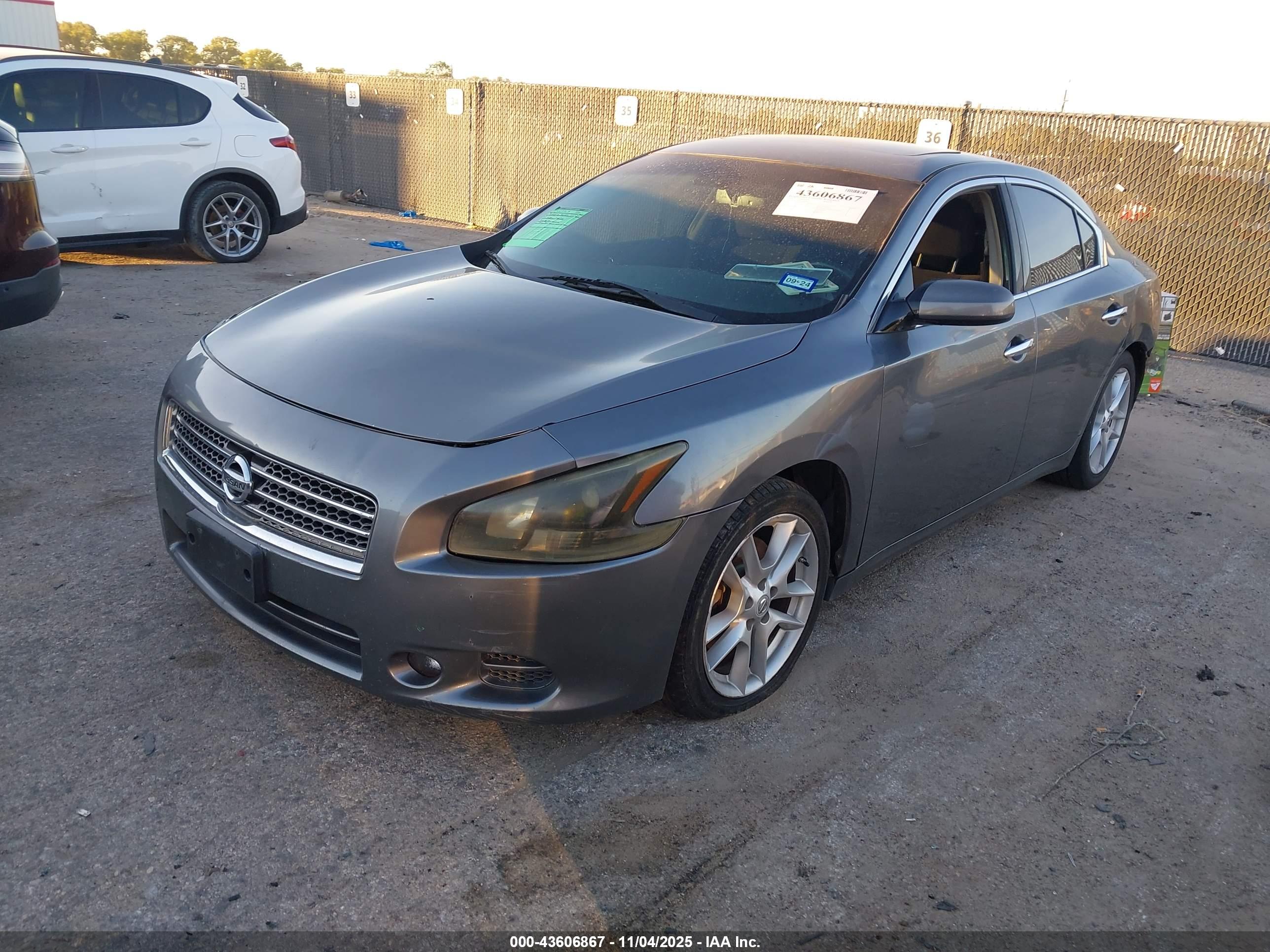NISSAN MAXIMA image 2