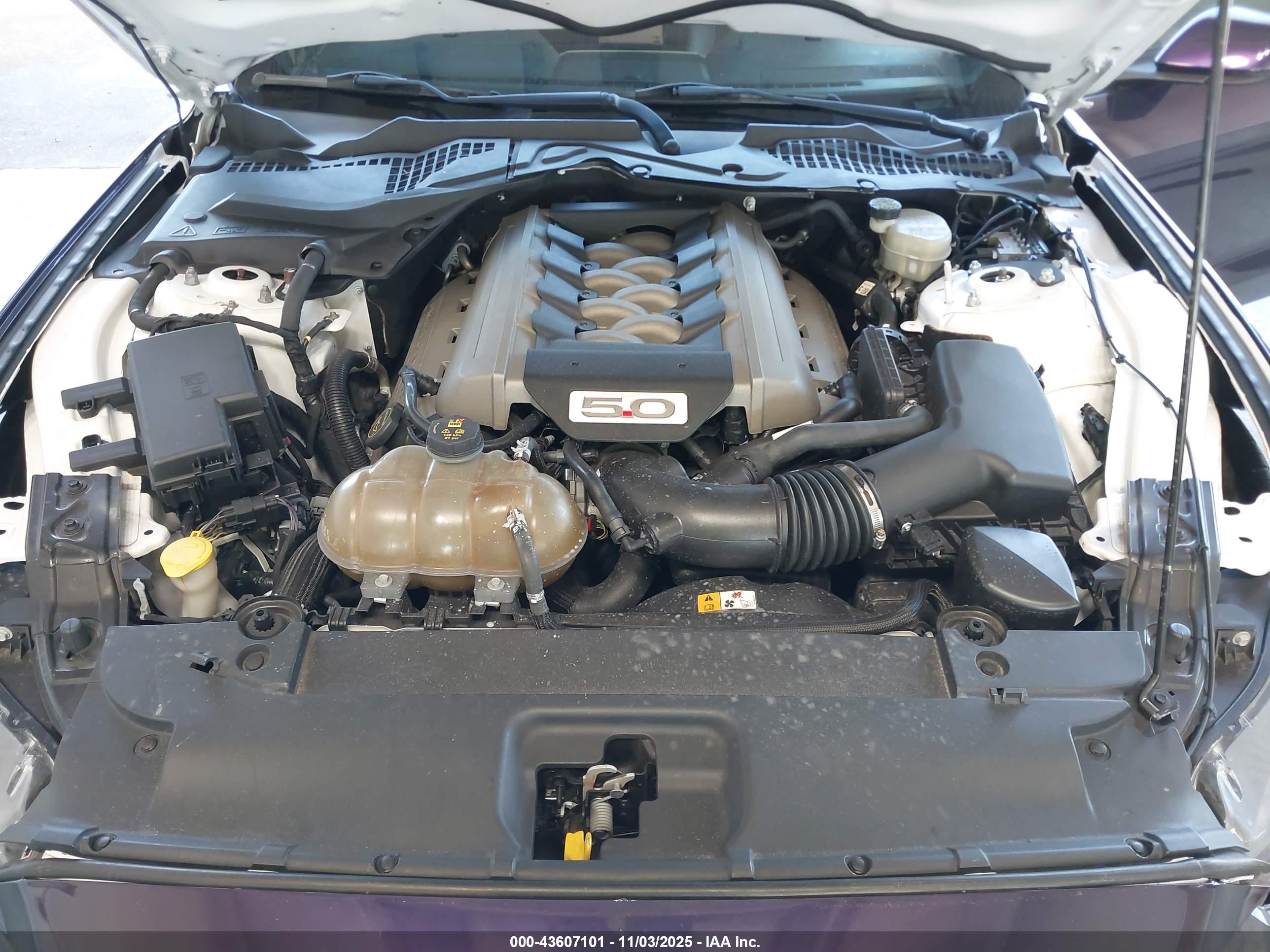 FORD MUSTANG image 10
