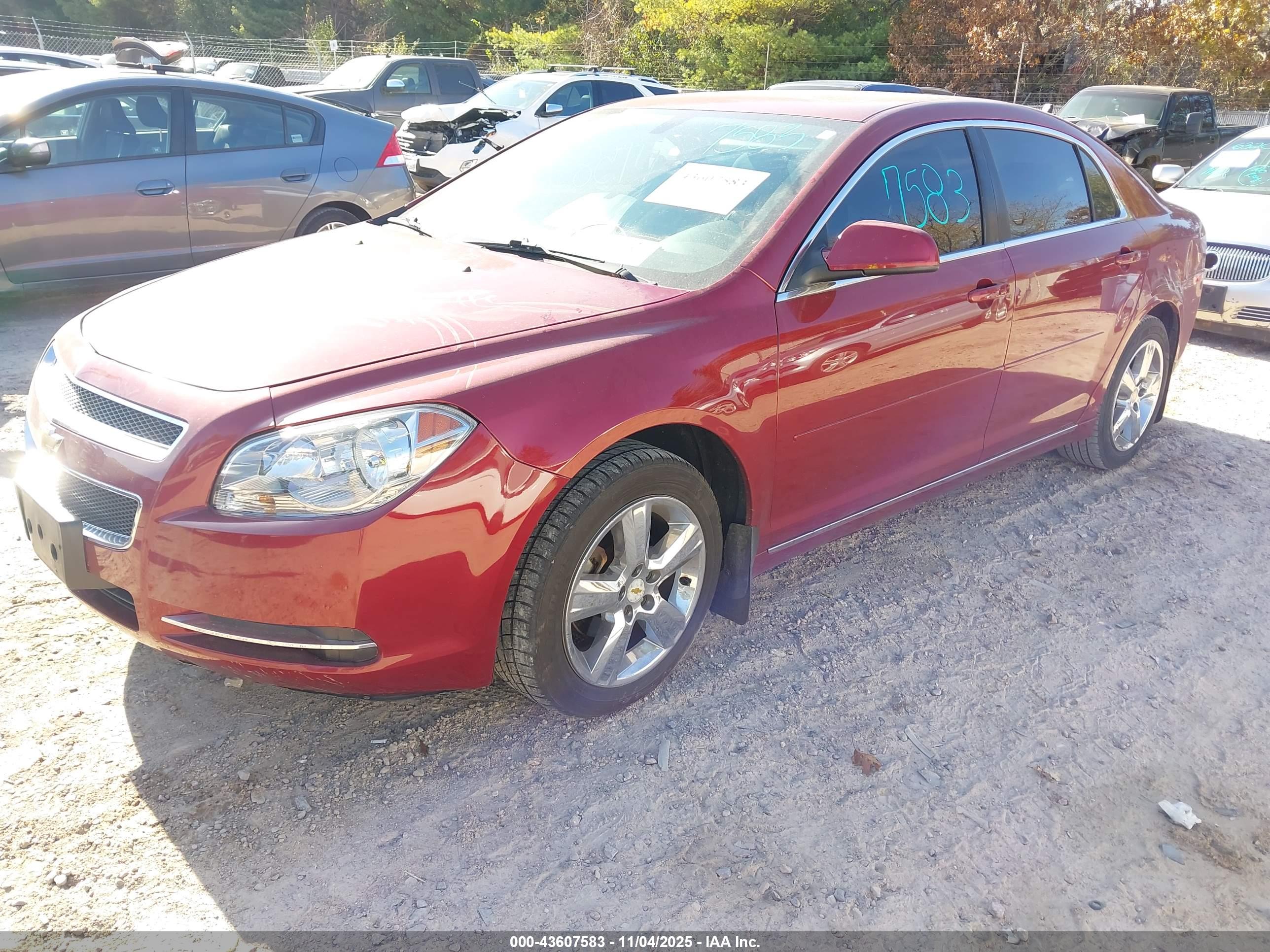 CHEVROLET MALIBU image 2