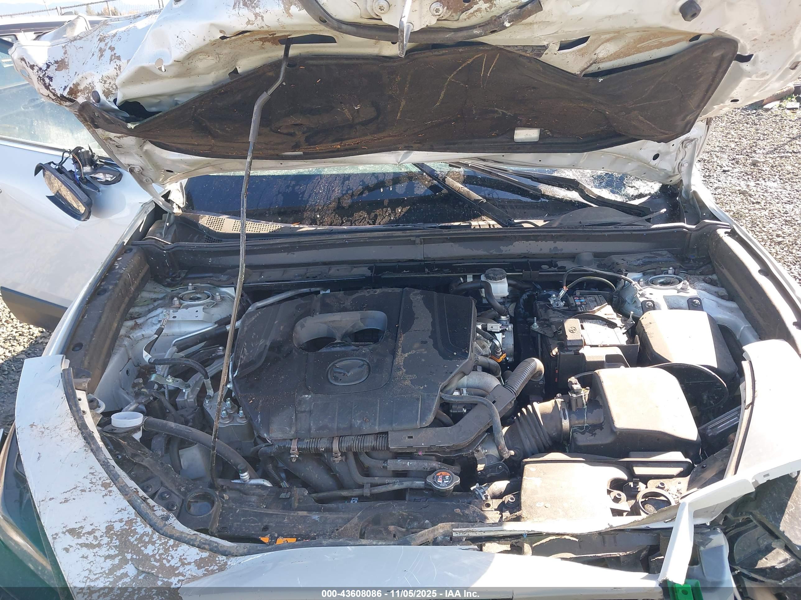 MAZDA CX-30 image 10