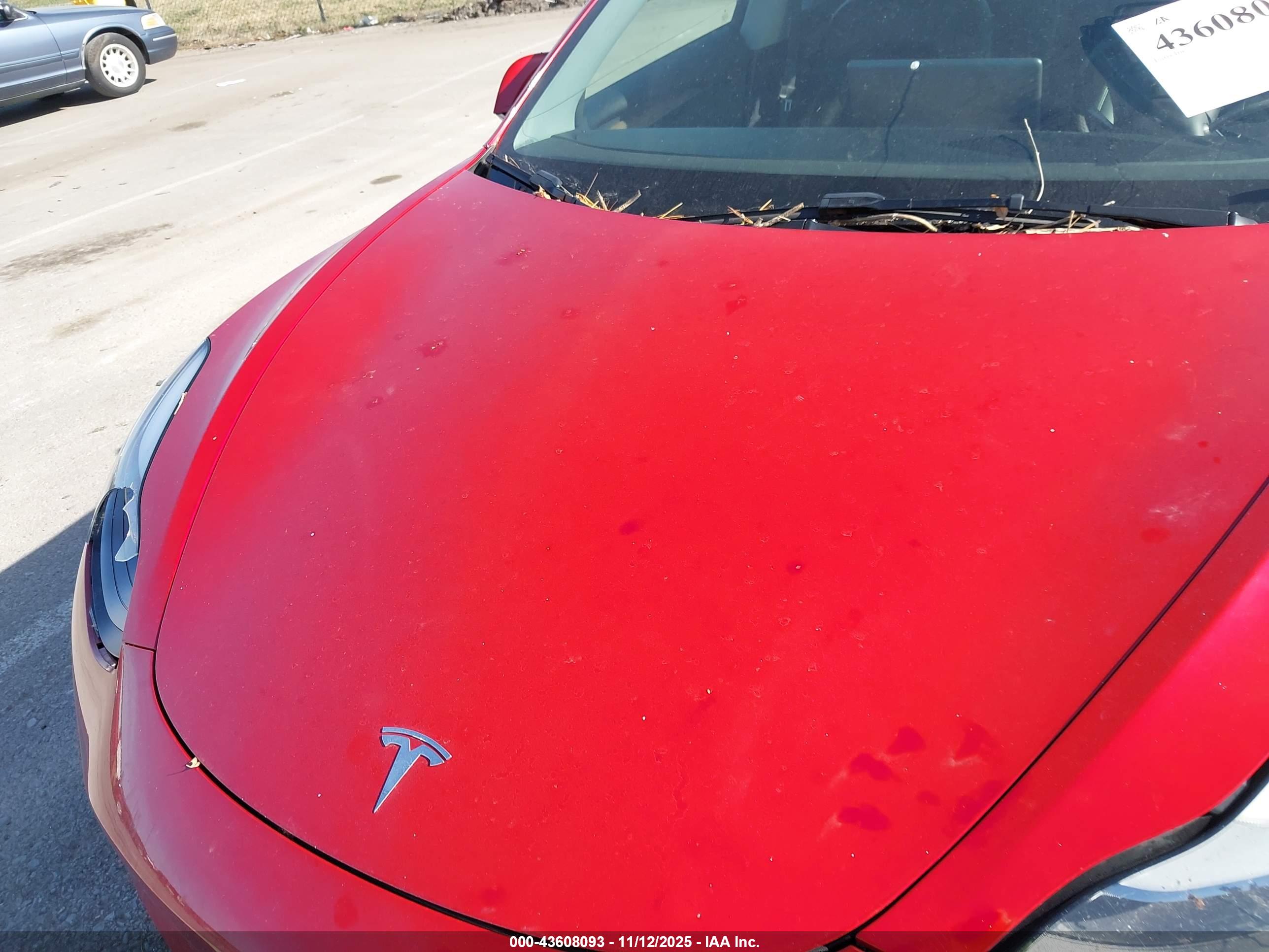 TESLA MODEL image 10