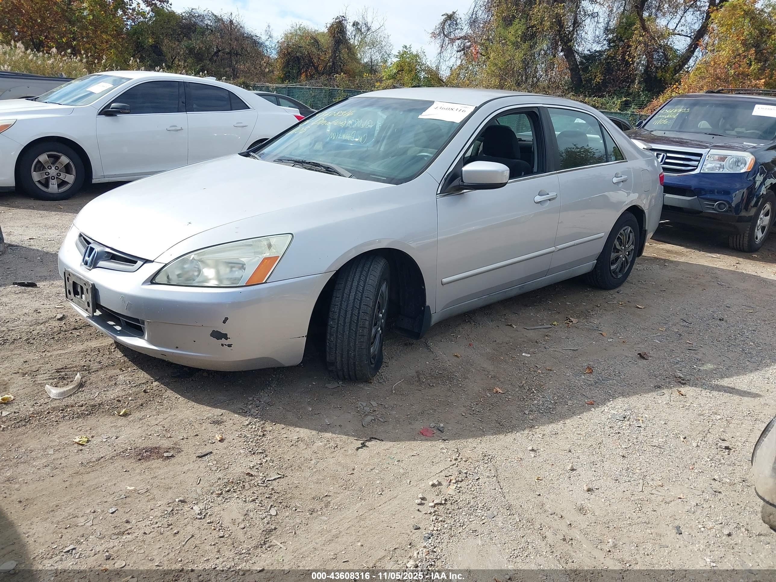 HONDA ACCORD image 2