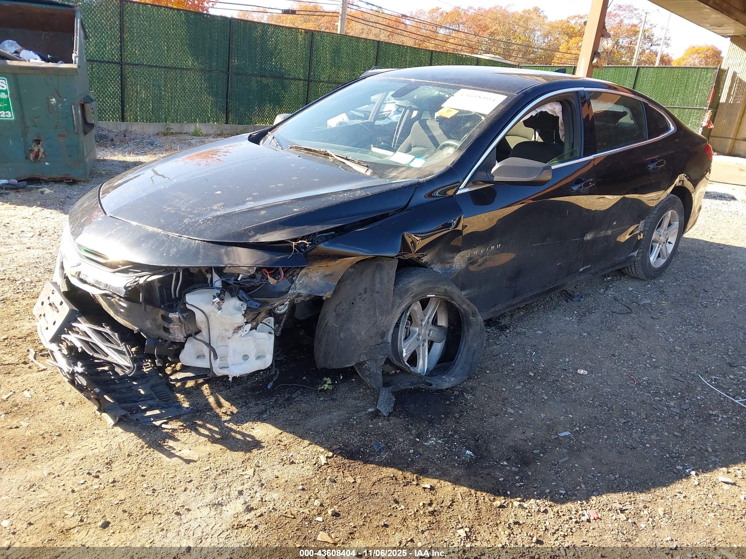 CHEVROLET MALIBU image 2
