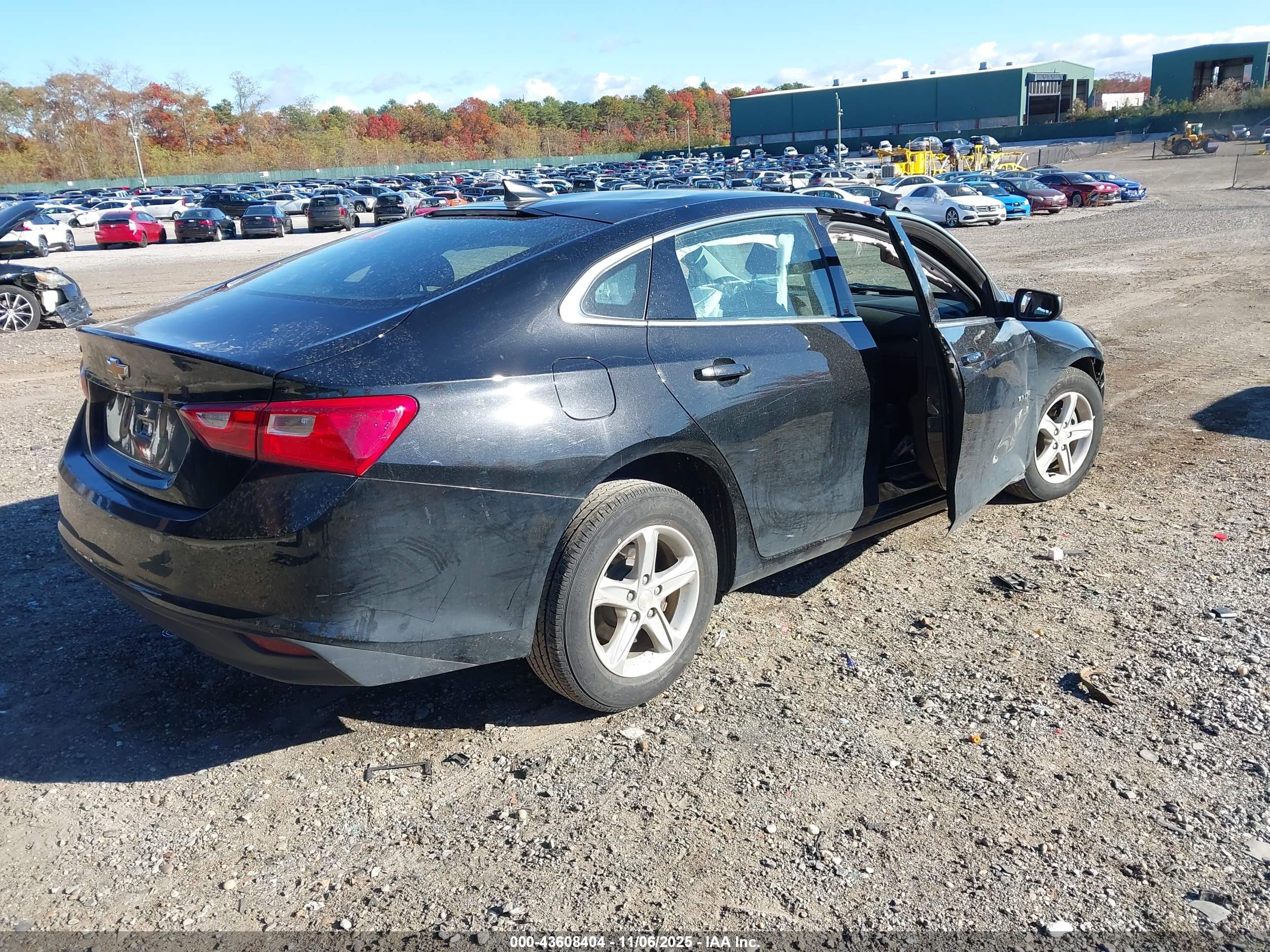 CHEVROLET MALIBU image 4