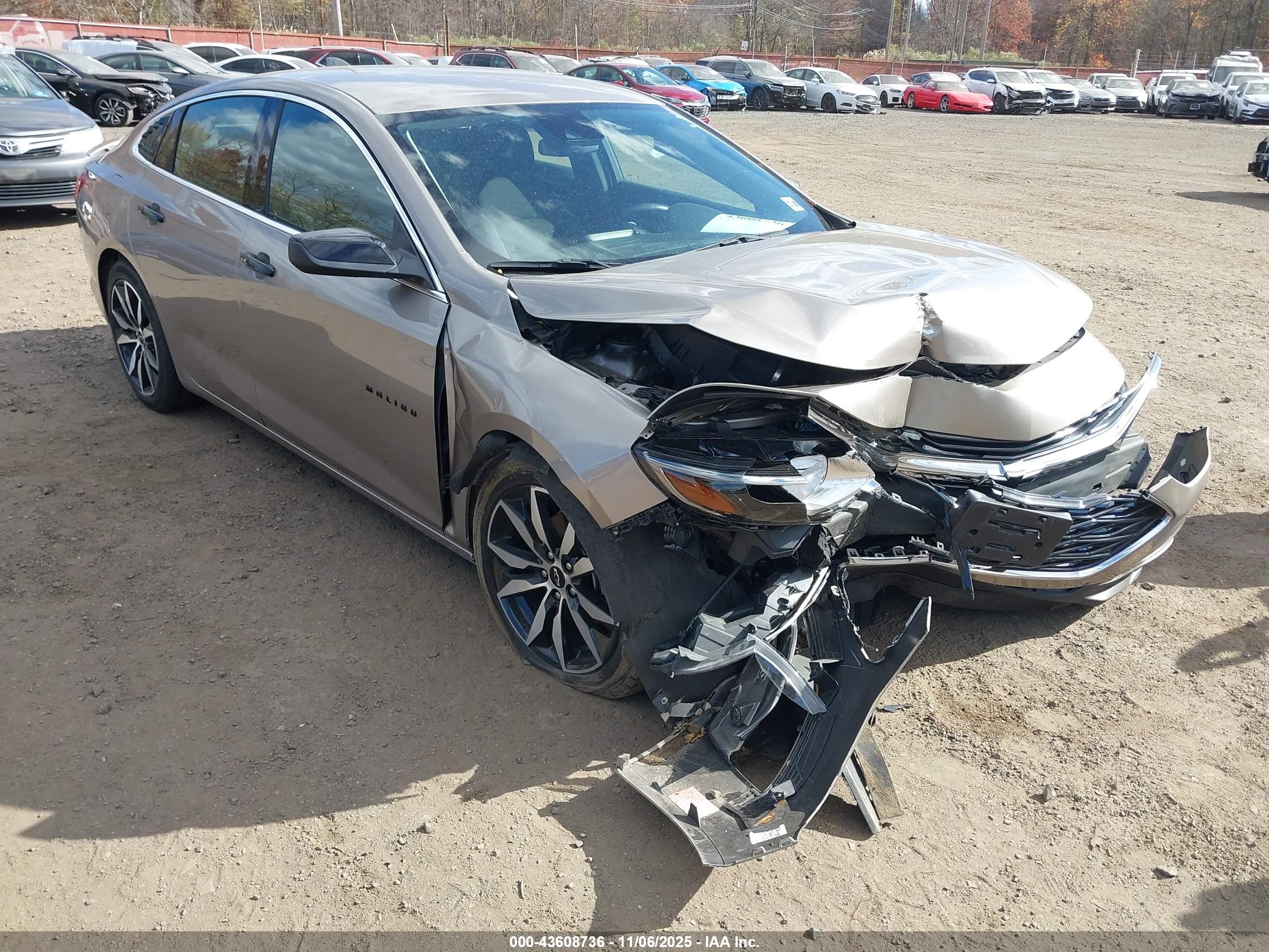 CHEVROLET MALIBU image 6