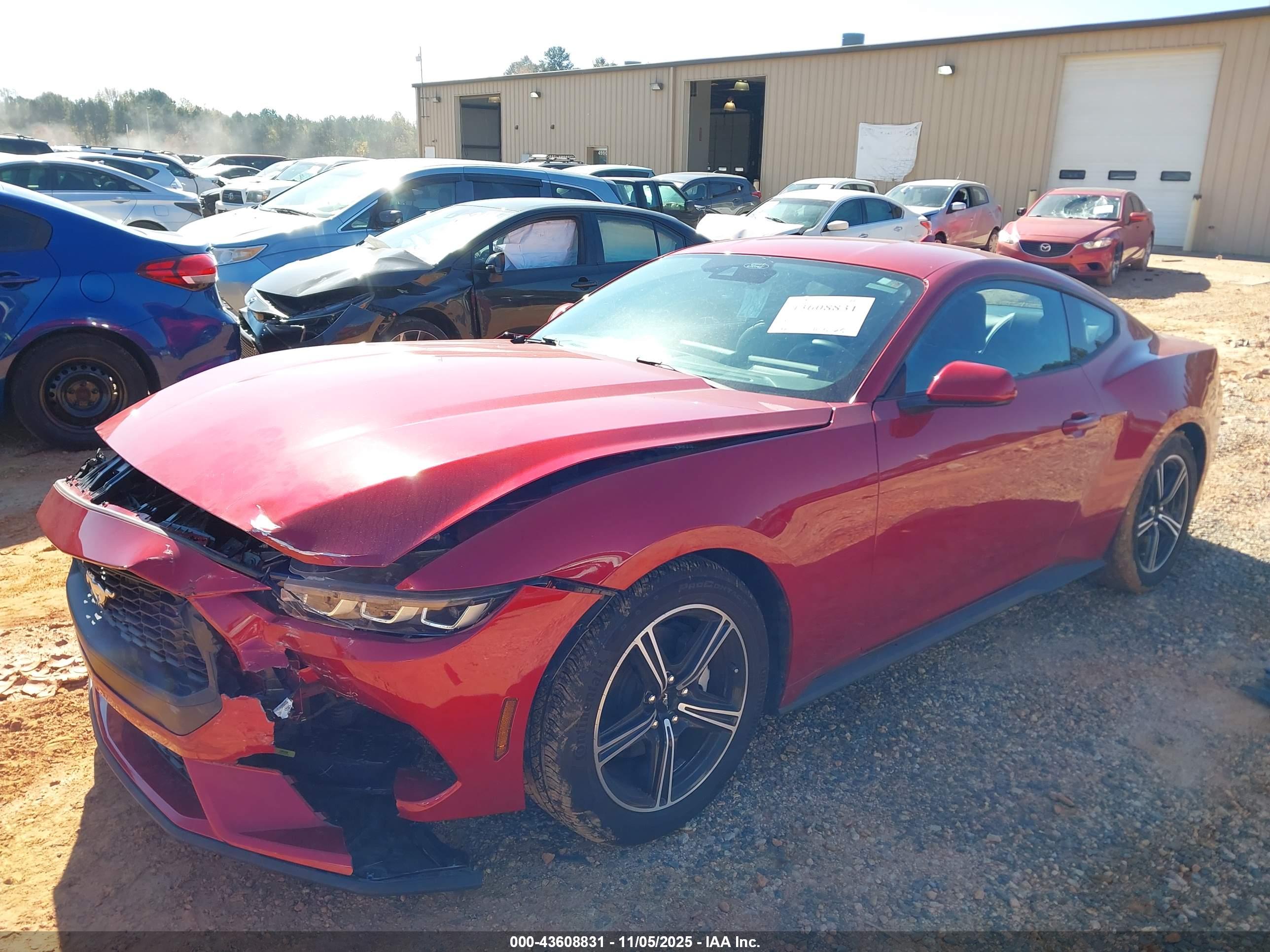 FORD MUSTANG image 2