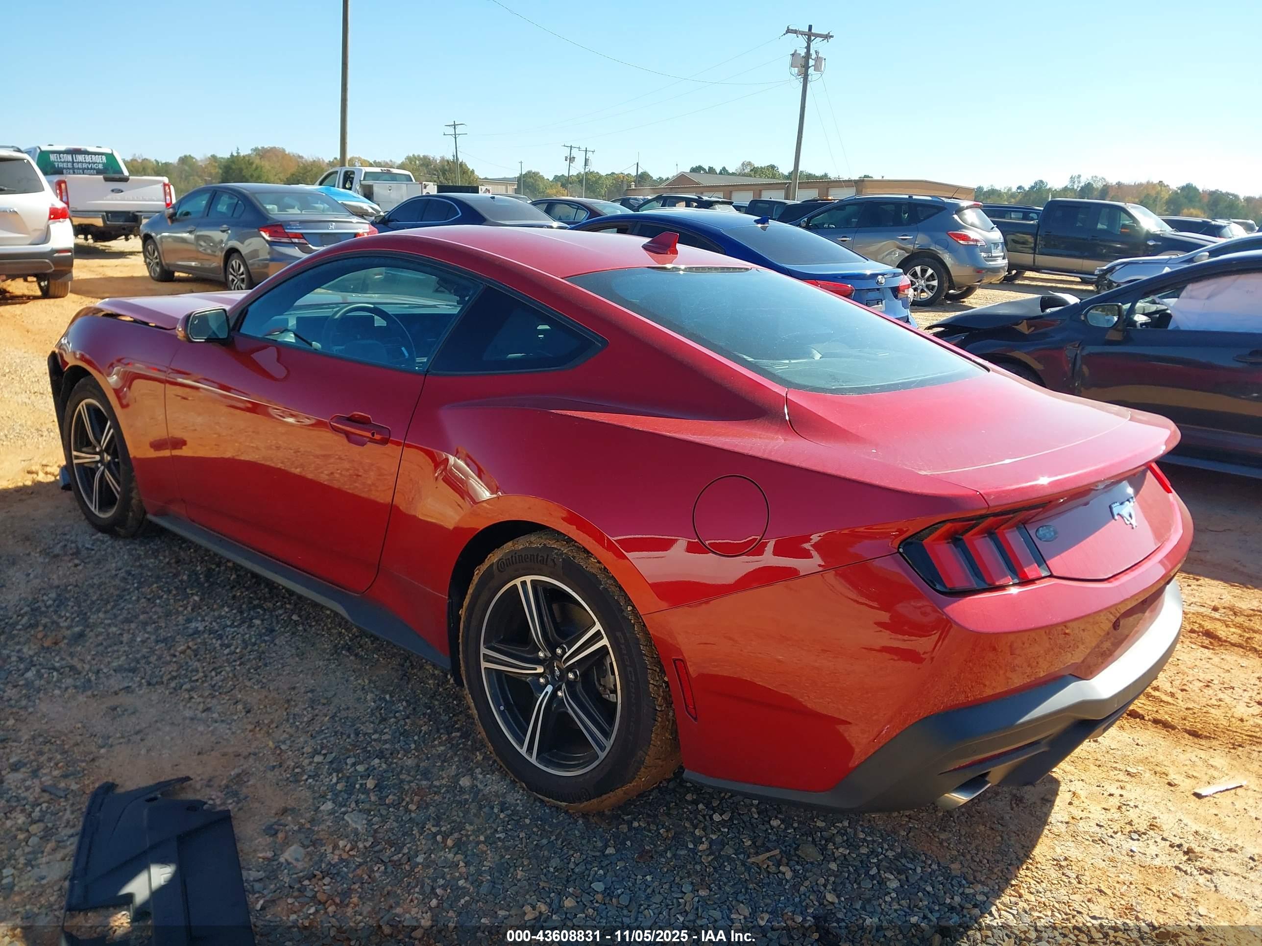 FORD MUSTANG image 3