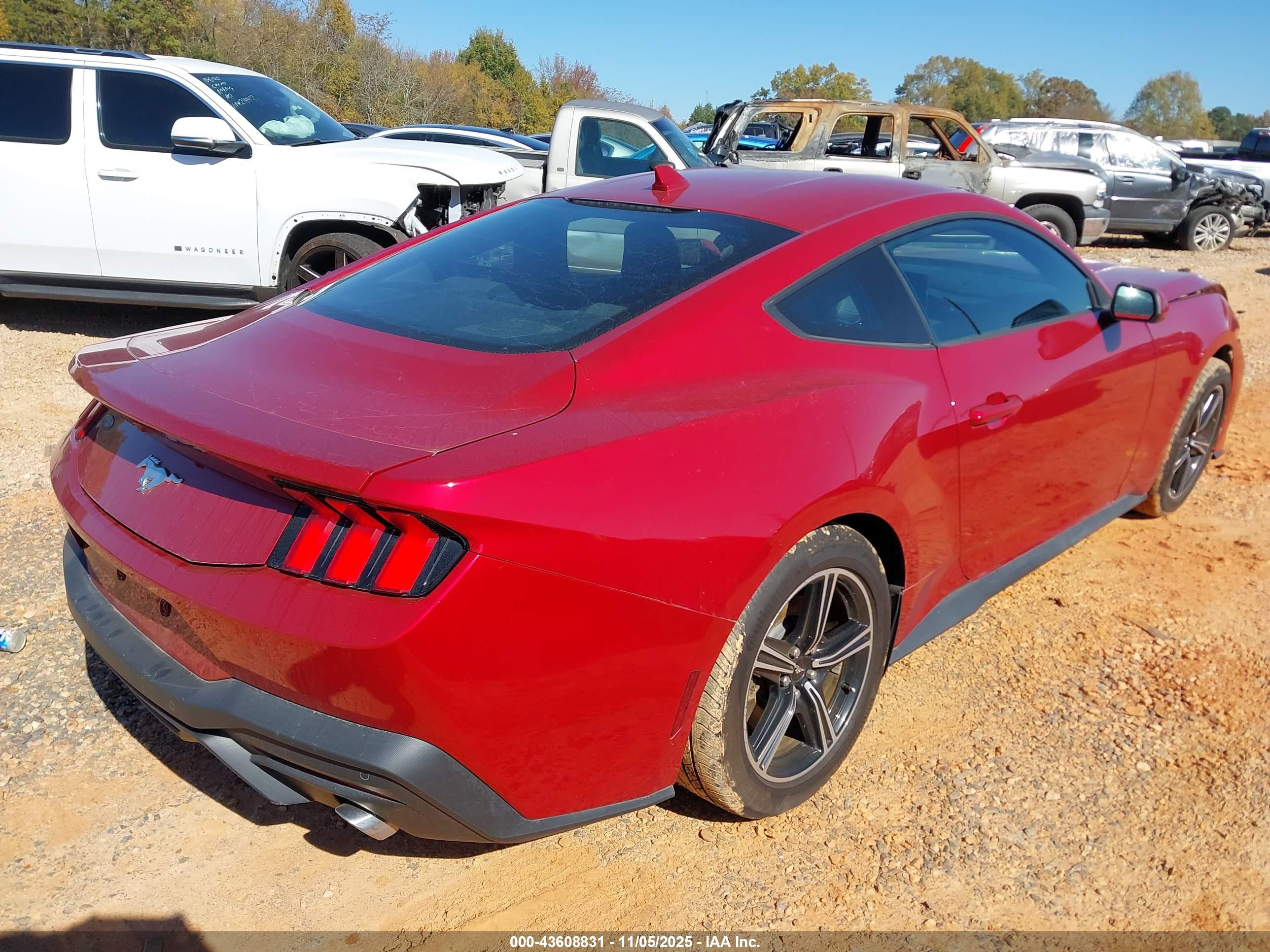 FORD MUSTANG image 4