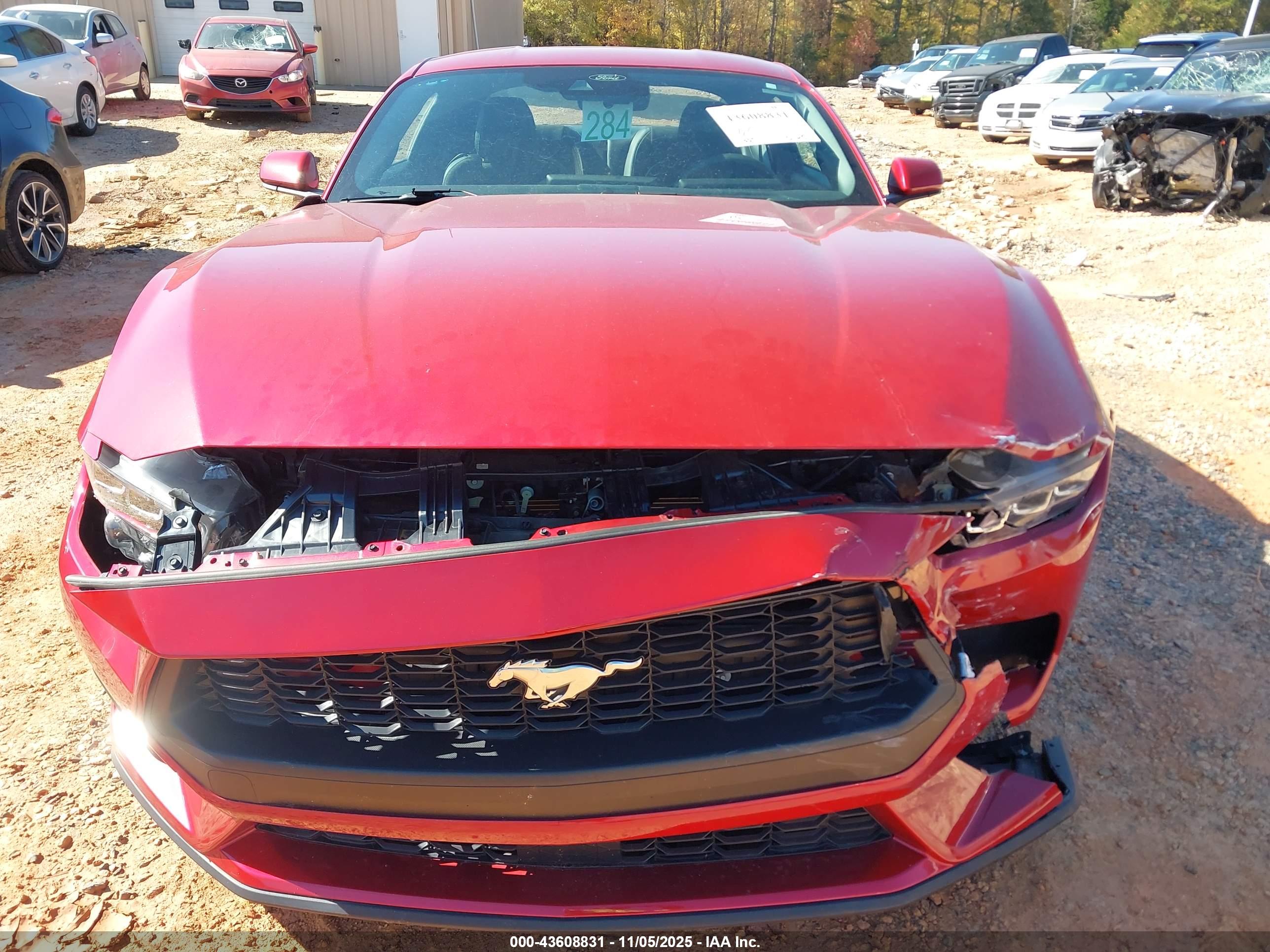 FORD MUSTANG image 6