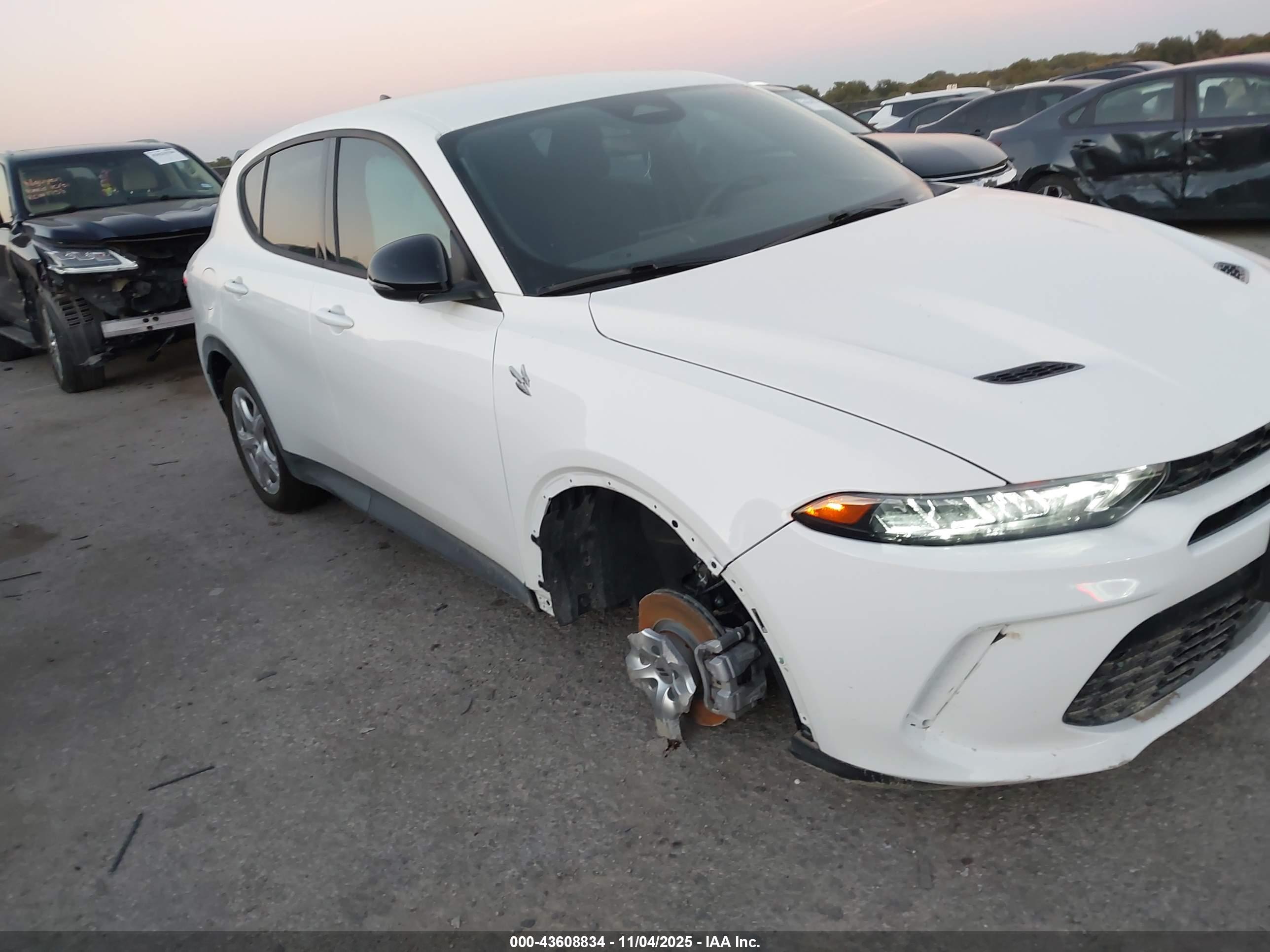 DODGE HORNET image 6