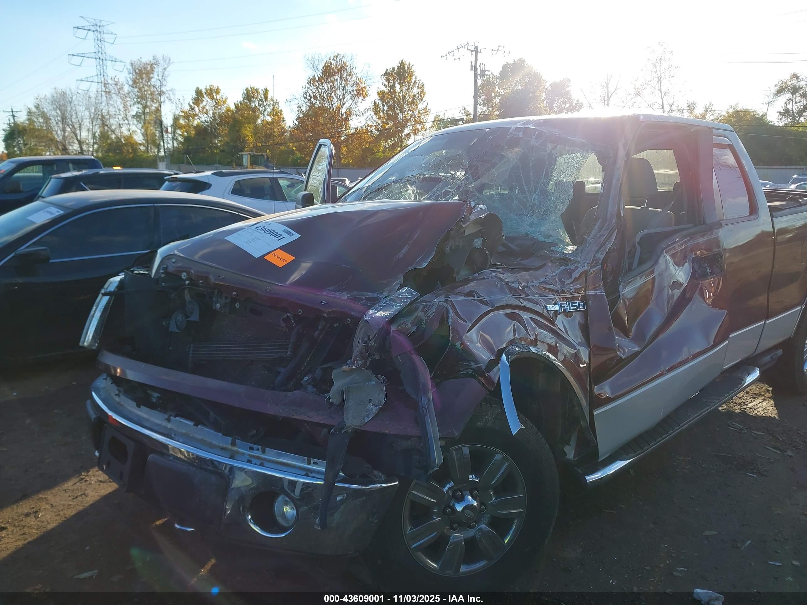 FORD F-150 image 6