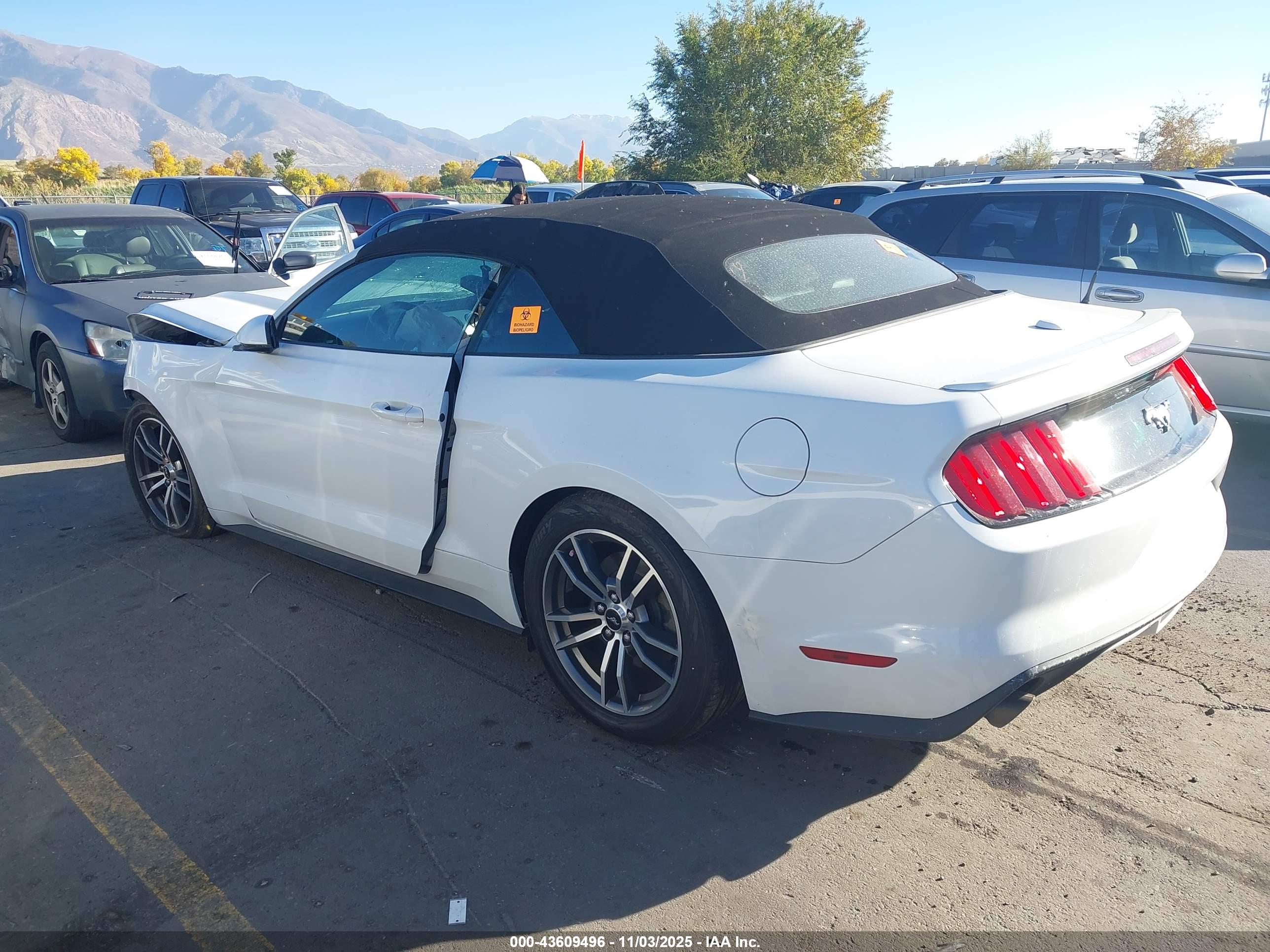 FORD MUSTANG image 3