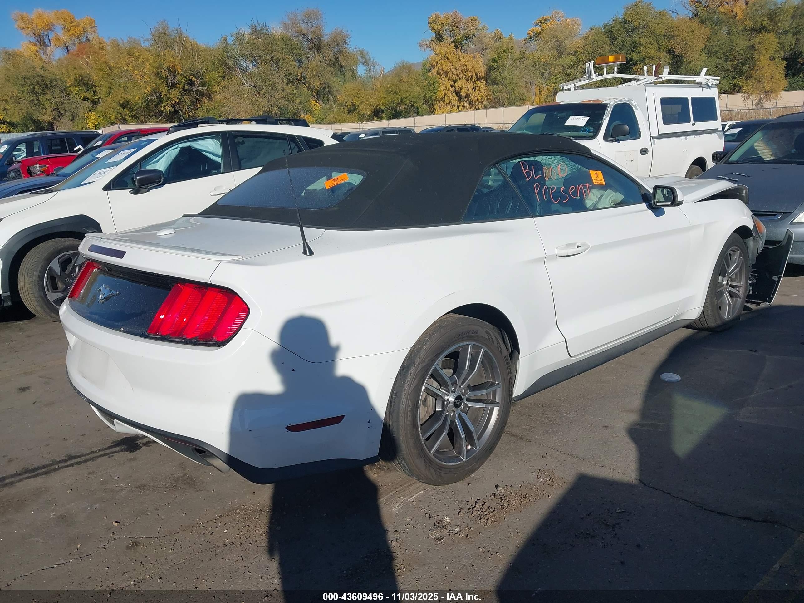 FORD MUSTANG image 4