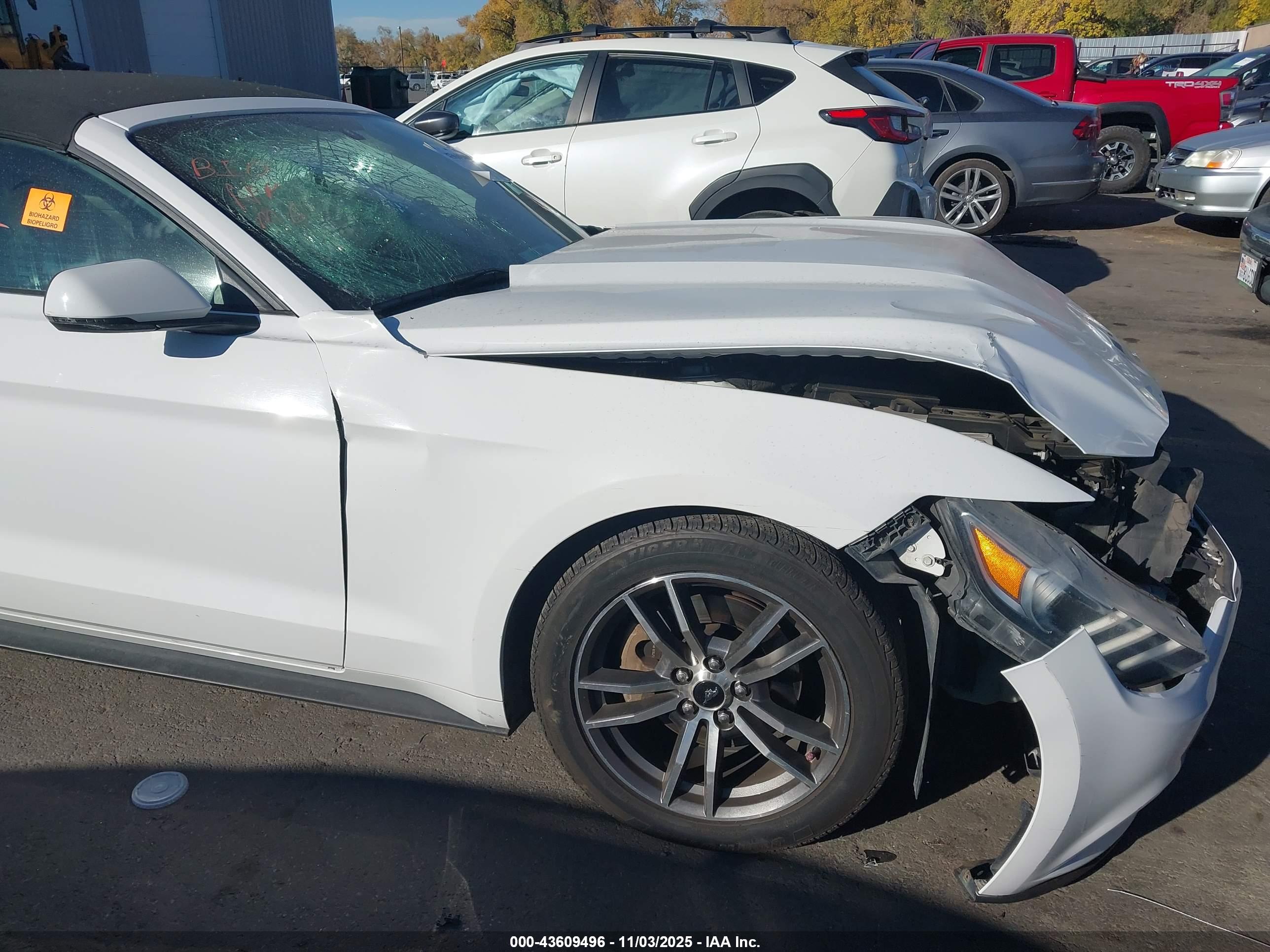 FORD MUSTANG image 6