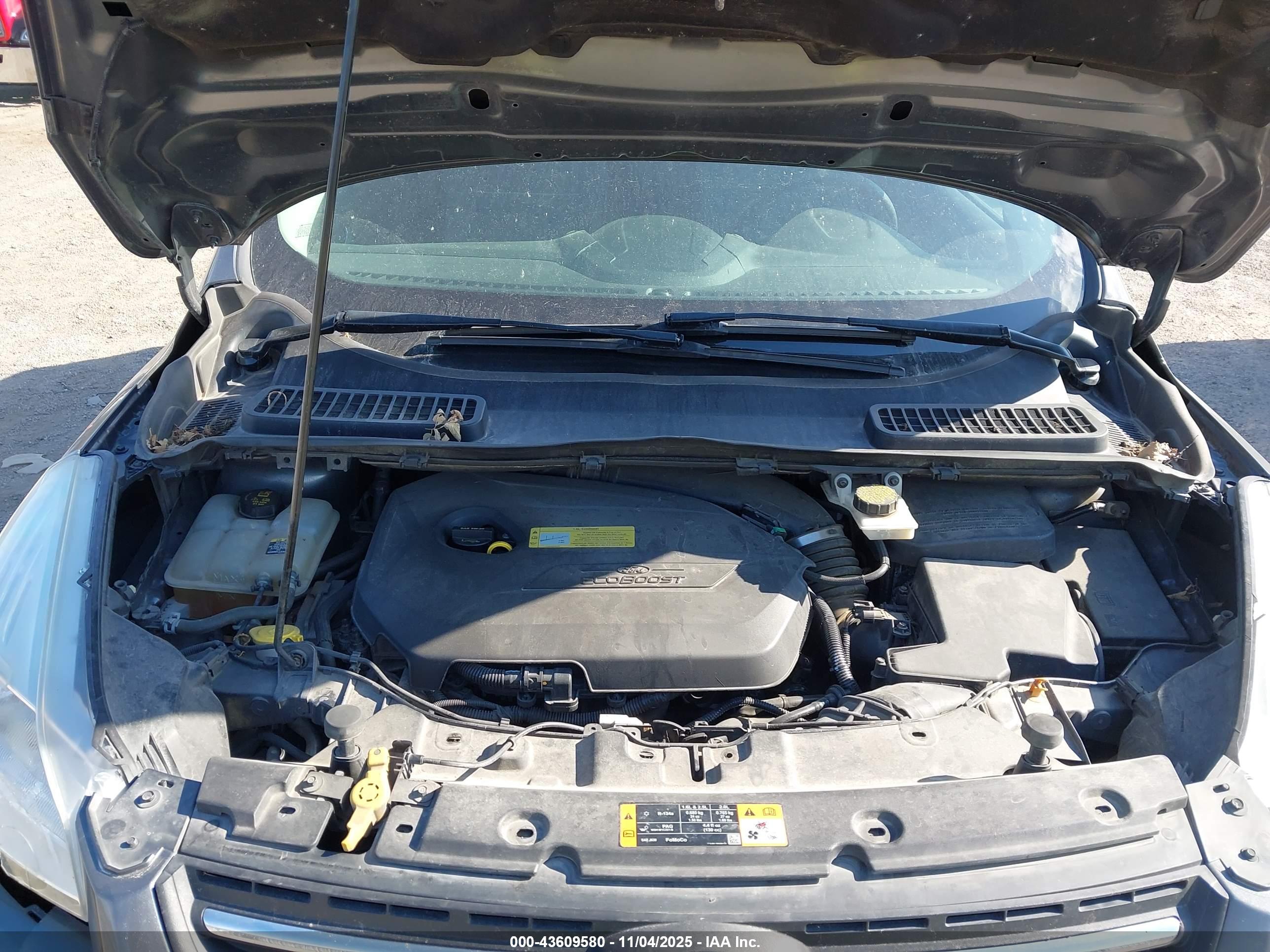 FORD ESCAPE image 10