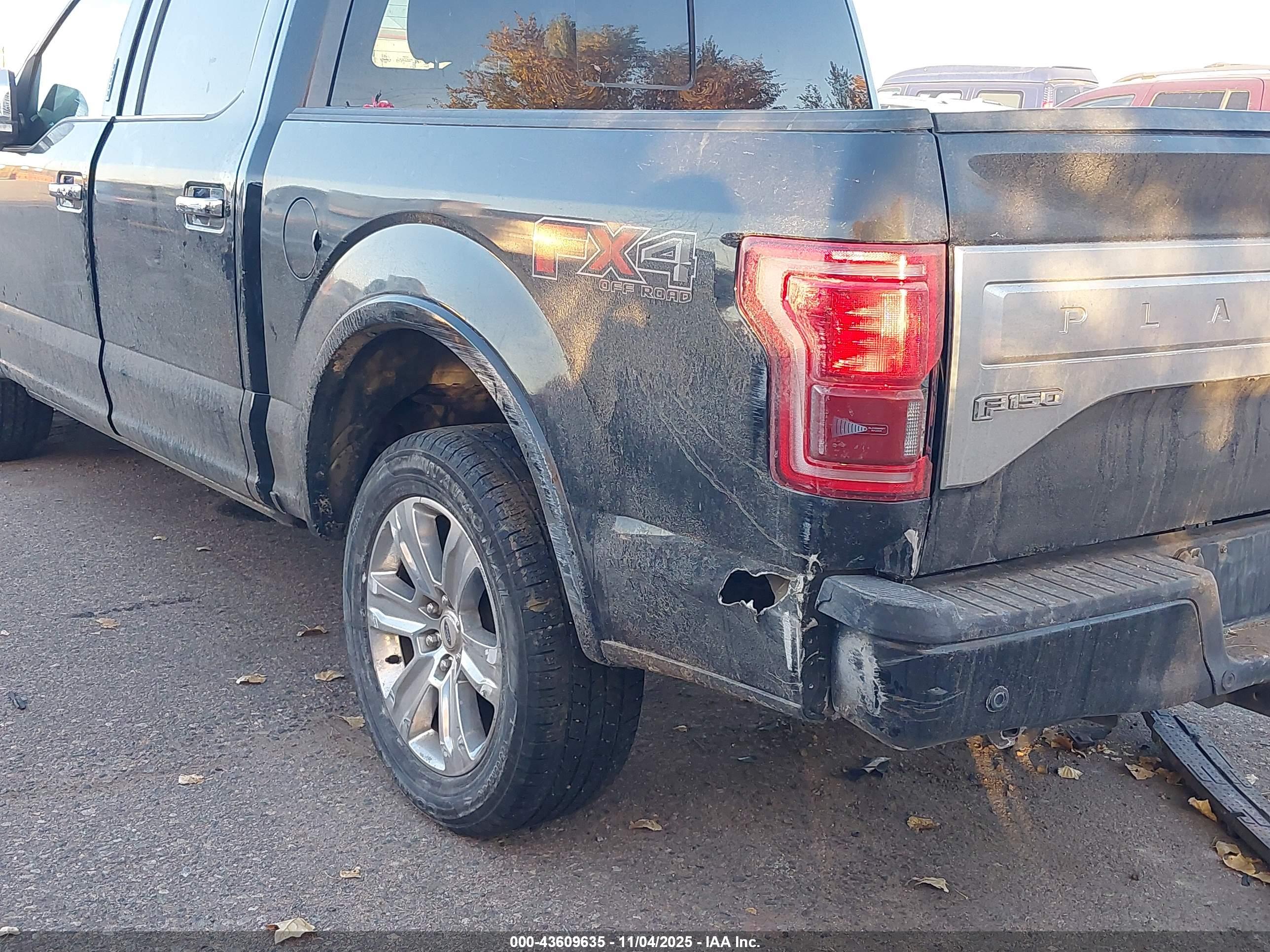 FORD F-150 image 6